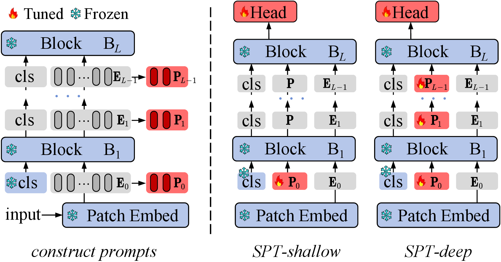 Figure 1: Self-Prompt Tuning. Left: We input a batch of the training data from the downstream task into the pre-trained model to get the forward patch embeddings. Right: We initialize prompts with sampled patch embeddings. Similar to VPT, we proposed SPT-Shallow and SPT-Deep depending on the layers involved. Only the prompts and task head parameters are learnable during adaptation on downstream tasks while the transformer encoder is frozen.