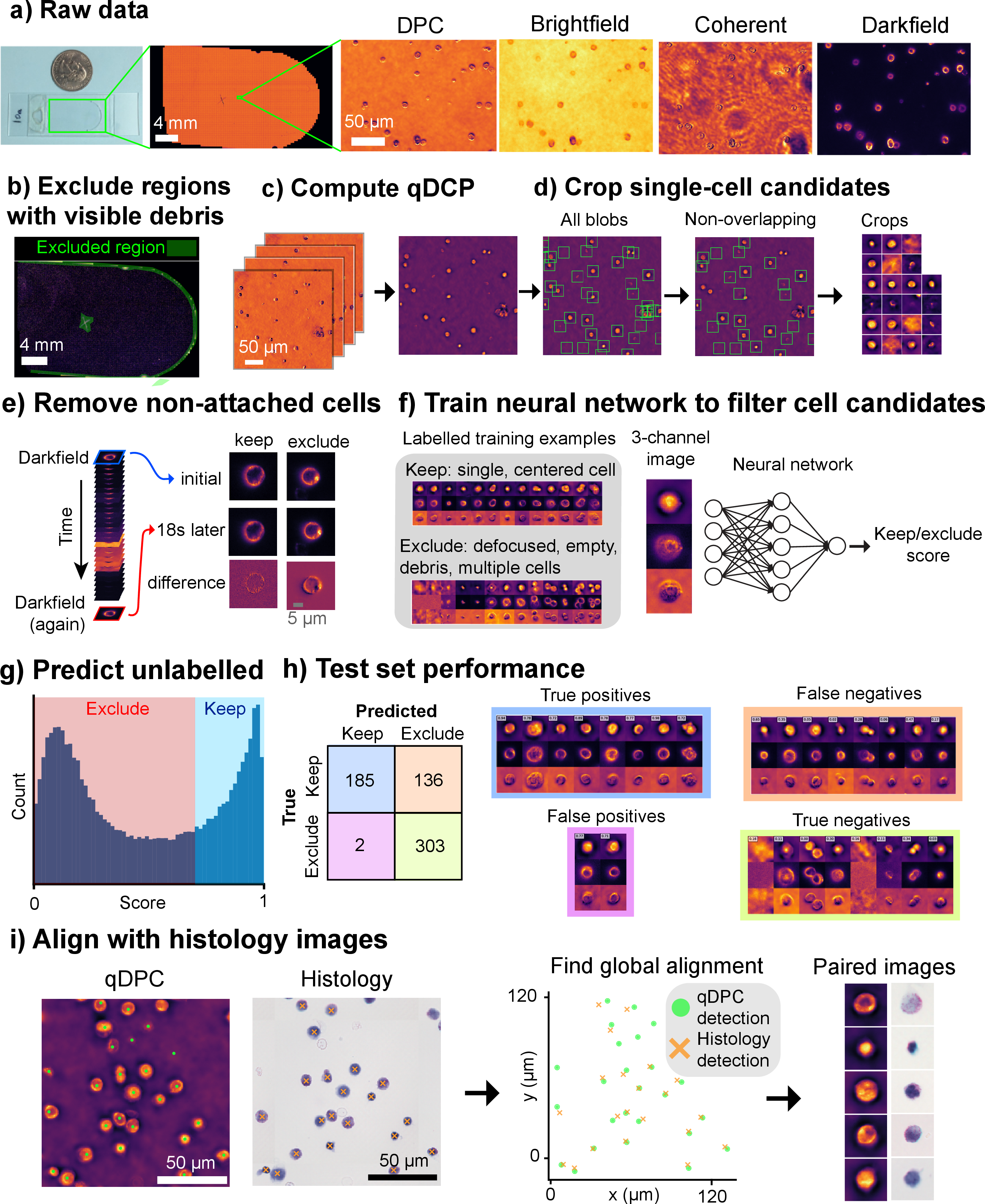 Figure 7: From raw data to single-cell crops a) a single imaging chamber, an image a full slide scan, and zoom-ins in four different illumination patterns. b) Regions with visible debris were manually excluded from further processing. c) Quantitative differential phase contrast (qDPC) images were calculated for each field of view, and d) a blob-finding algorithm was employed to find and crop out candidate images for isolated single-cells. e) Candidates that were not attached to the coverslip, as measured by movement between the first and last darkfield image were removed. f) A manually labelled training set of cells to include or exclude was created and used to train a neural network that predicted whether to keep cells. g) Histogram of predictions on unlabelled cell candidates h) Performance of the trained network on the labelled test set. i) Detected cells in differential phase contrast and histology stain contrast were aligned and matched.