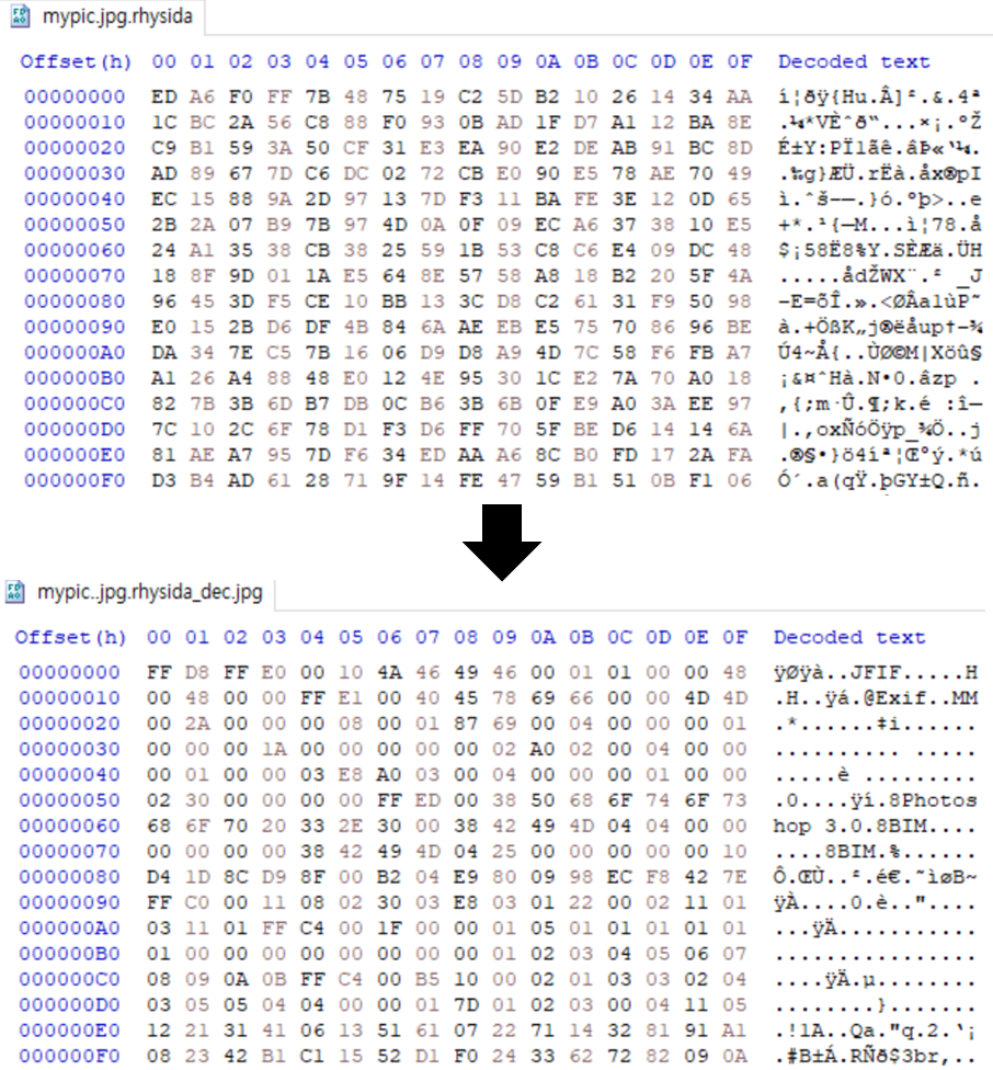 Figure 5: Decryption result of Rhysida ransomware