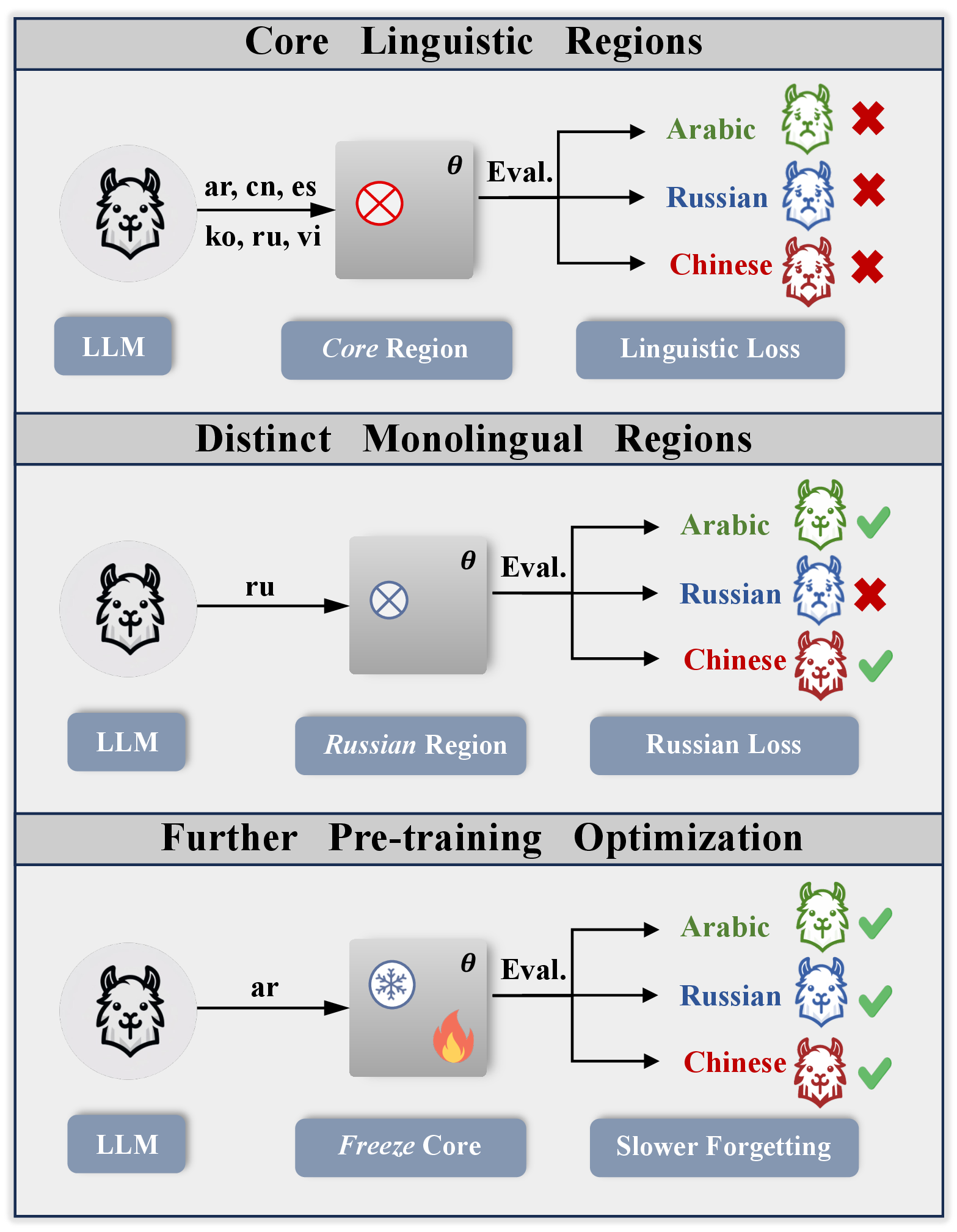 Figure 1: Three main findings of our experiments: (1) Identification of core language regions within the LLMs, where removals lead to linguistic competence loss; (2) Discovery of monolingual regions, where removals cause significant proficiency loss in specific languages; (3) Optimization of freezing core regions during further pre-training decelerates language forgetting.