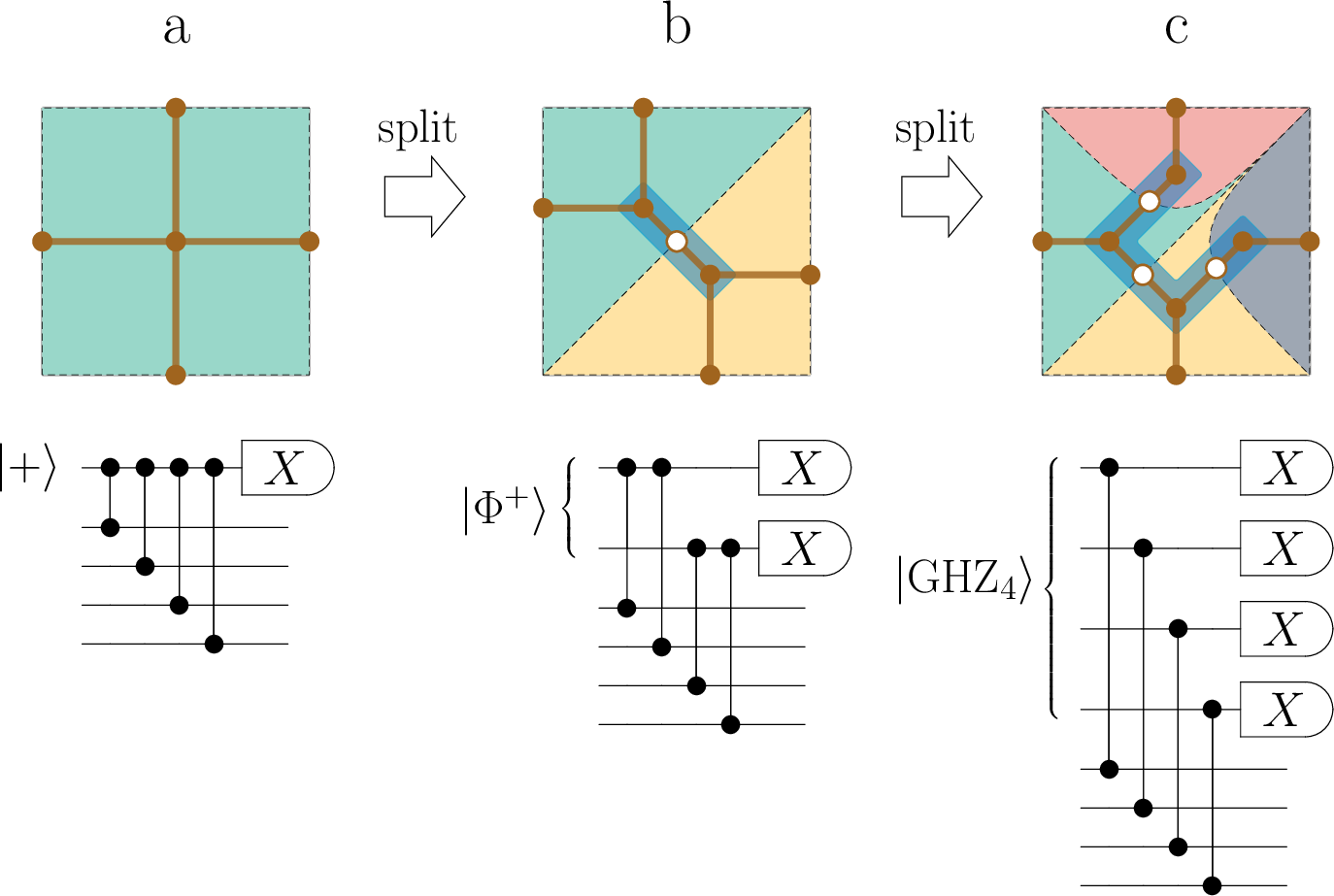 Figure 4: Face splitting on a square. Face splitting on a square. (a) Without a split, the square represents a monolithic cluster state without distributed entanglement. The corresponding circuit of \Ket{+} state initialization, CZ gates, and Pauli-X basis measurement is also drawn. (b) A hybrid approach. The distributed face qubit is split over two parties represented by two faces, forming a bipartite GHZ or Bell state. The parity check is performed through two bilocal CZ gates of each face to its neighboring qubits and two local measurements. (c) A fully distributed approach. A face is split into four parties that share a GHZ state. Each party performs a single CZ gate to its neighbor and performs a measurement.