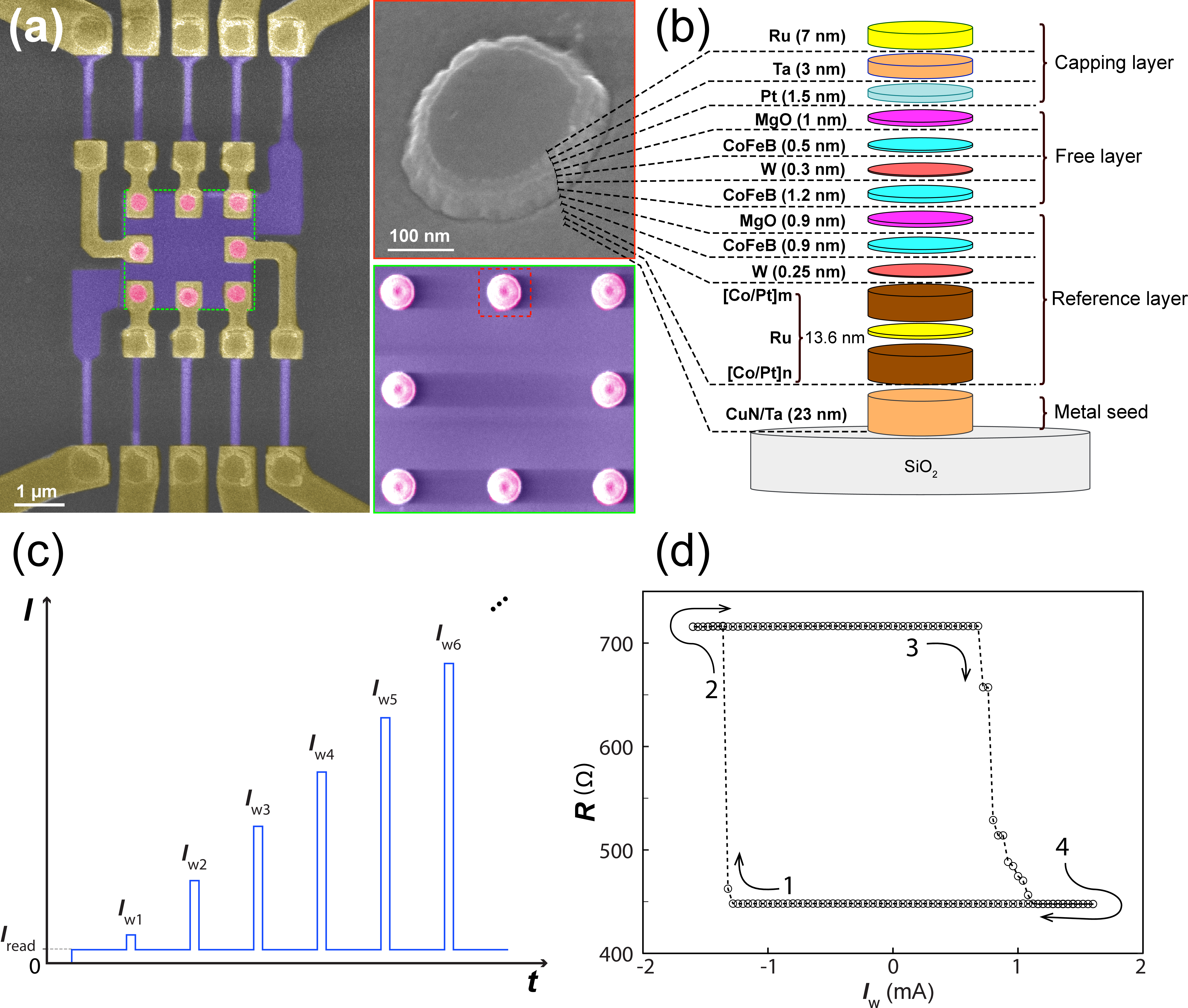 Figure 6: (Color online) An experimental demonstration of STT-units. (a) A false-colored scanning electron microscope (SEM) image of an STT device. The pink-colored nanopillars in the middle are the STT unit, the pale-yellow parts and the purple parts are top and bottom electrodes, respectively. (b) Structure of the MTJ-material stack. (c) The write and read pulse current for characterizing the STT-unit. The amplitude of read current I_{\rm read} remains a constant. The amplitude of write current I_{wn} sweeps in both directions. (d) Device resistance versus write current pulse, sweeping in both directions. Numbers and arrows show the perpendicular magnetization transitions from AP to P states or the opposite situation.
