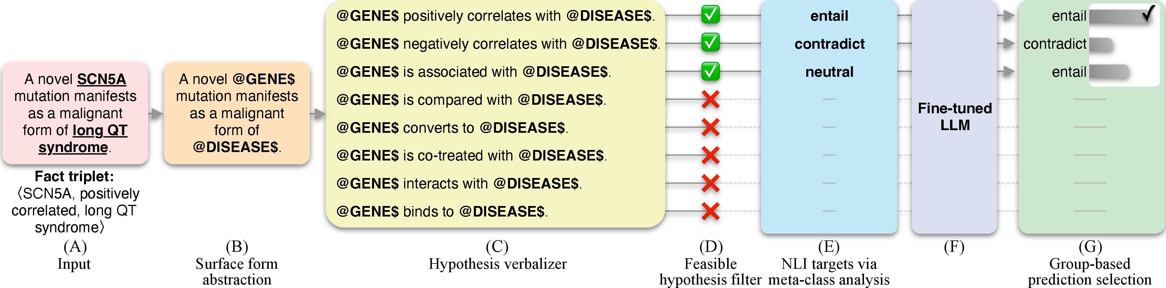Figure 1: Data flow used for MetaEntail-RE. The original RE input instance (A) is converted into a premise where surface forms are masked with corresponding entity types (B). Each relation class is verbalized into a hypothesis (C), and a feasible hypothesis filter (D) removes infeasible hypotheses based on the pair of entity types. NLI labels are generated via meta-class analysis (E), which are the labels used to fine-tune an LLM via cross-entropy (F). Finally, we use softmax probabilities as a proxy for the model’s confidence and select the most confident “entail” prediction among the group of predictions (G). Note that the model makes three predictions in this example—one for each feasible hypothesis. The second “entail” prediction is incorrect but the group-based prediction module selects the first and correct “entail” prediction by assessing the model’s confidence.