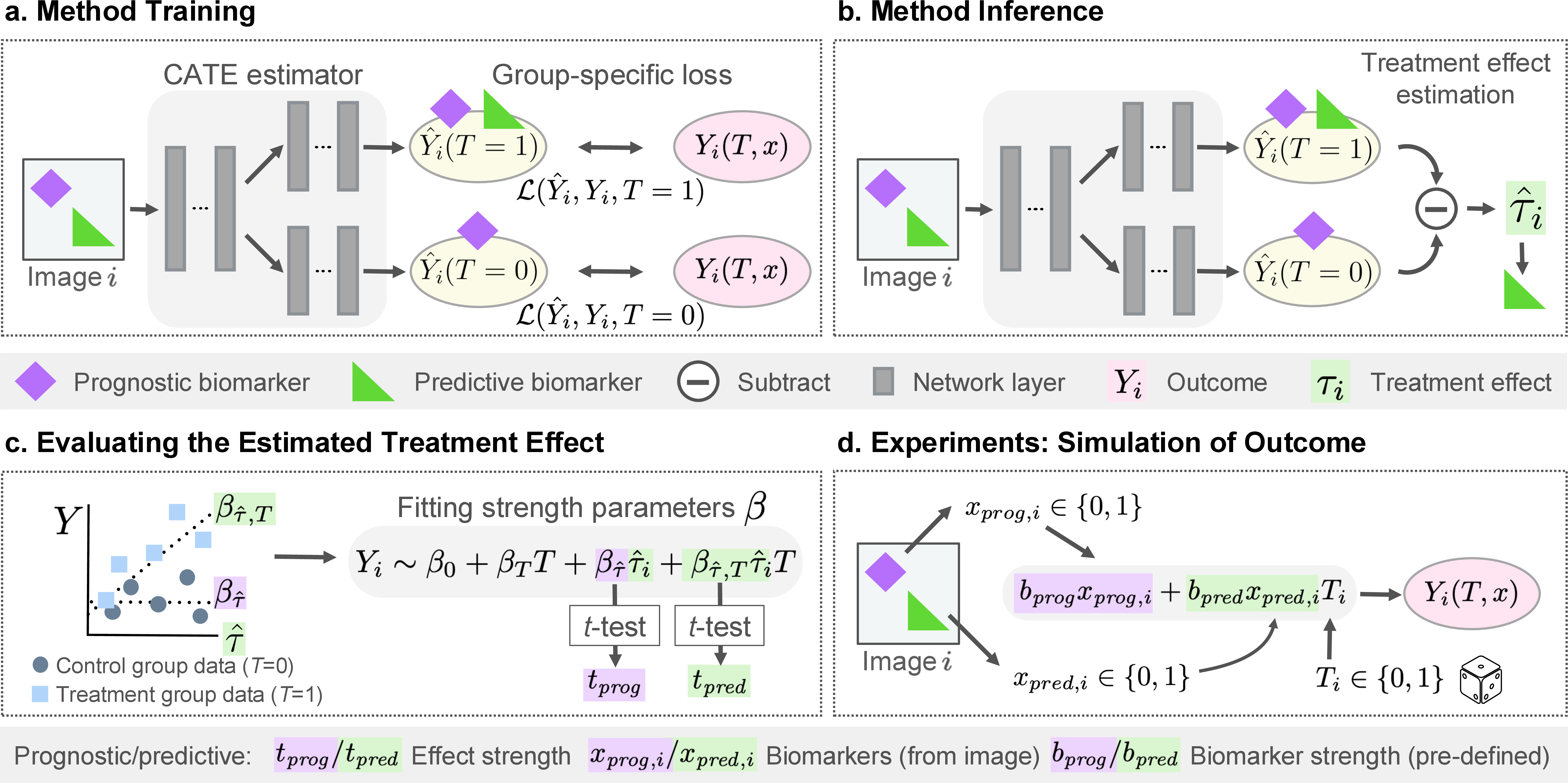 Figure 2: Overview of the identification of predictive biomarkers from pre-treatment images. The (a) training and (b) inference step employs a two-headed architecture to estimate treatment effects \hat{\tau} from images. In the evaluation step (c) the predictive strength of the estimated \hat{\tau}, the predictive biomarker candidate, is assessed using regression. In our simulation experiments (d), the outcome data Y_i used in our experiments are simulated with image features from ground truth annotations and randomly assigned treatments T.