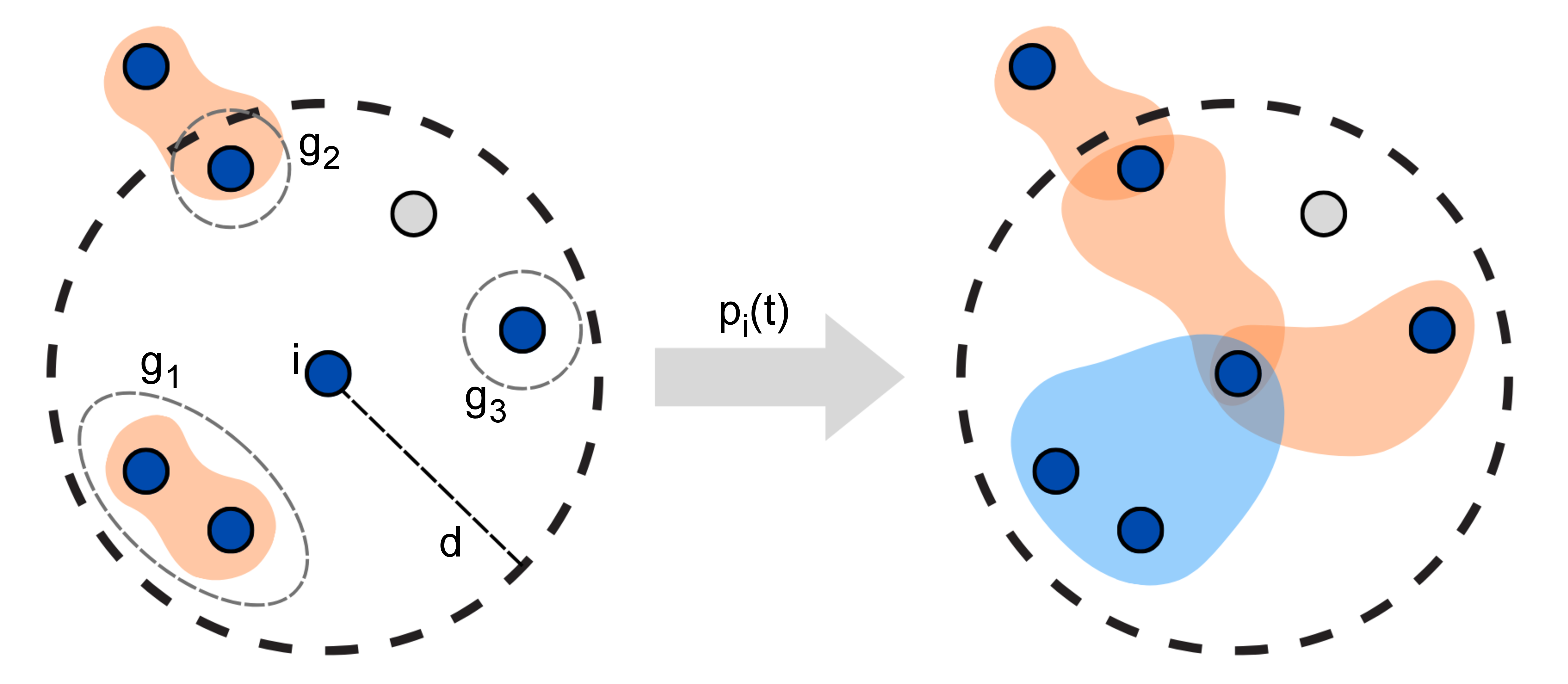 Figure 1: Schematic illustration of the Group Attractiveness Model. At each time step t, each active agent i (blue) considers the groups lying within a radius d from it, and interacts with all of them with a probability p_i(t) that depends on the mean attractiveness of the neighboring groups. The agent interacts only with the group members within its scope and ignores inactive nodes (gray). With the complementary probability 1 - p_i(t), the agent moves away in a random direction, with a step of length v.