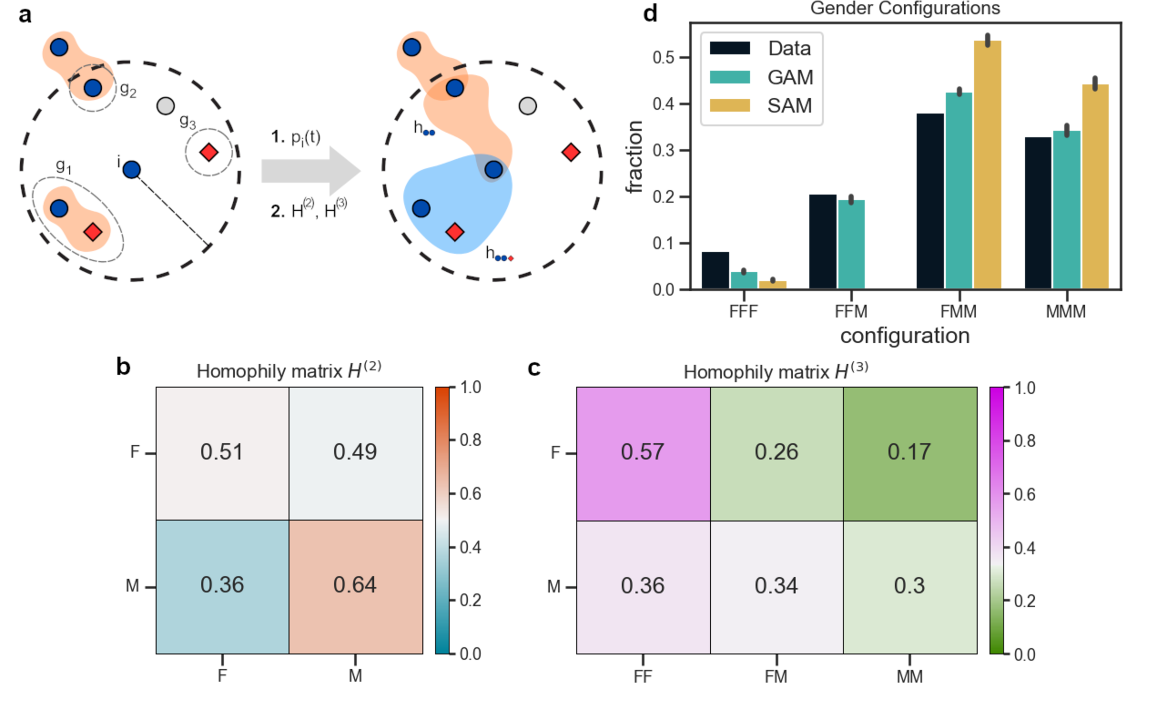 Figure 5: Higher-order homophily in face-to-face interactions. Panel a shows a schematic of the Group Attractiveness Model with homophily. At each time step t, an active agent i (blue) considers the groups within its scope and decides to interact with a probability p_i(t) based on the mean attractiveness of the neighboring groups (see 2 ); if it stays, the agent chooses the group(s) to which it connects based on the homophily matrices H^{(2)}, H^{(3)}, and so on, which depend on its own attributes (shapes and colors) and those of the group member(s). Panels b and c display the homophily matrices H^{(2)} and H^{(3)}, modulating the formation of groups of two and three individuals, respectively, obtained for the interactions in the “HS11” dataset. The element (i,j) of H^{(2)} is the probability that an agent with attribute i (either F or M) interacts with a neighbor with attribute j (either F or M), while the element (i,k) of H^{(3)} is the probability that an agent with attribute i interacts with a neighboring group of two agents whose attributes are in state k (either FF, FM, or MM). Men prefer to interact with other men at the level of pairwise interactions (h^{(2)}_{MM}>h^{(2)}_{MF}), while women are more homophilic in groups of three individuals (h^{(3)}_{FFF}>h^{(3)}_{FFM} and h^{(3)}_{FFF}>h^{(3)}_{FMM}). Panel d shows the fraction of unique groups of size three in the different gender configurations present in the “HS11” dataset (black bars), together with those predicted by the Group Attractiveness Model (blue bars) and by the Social-Attractiveness Model [24] (yellow bars). The value of the bars represents the average fraction over 100 simulations, while the error bars indicate the standard deviation. While the Social-Attractiveness Model overestimates the tendency of men to interact with their same gender, the Group Attractiveness Model is in good agreement with the empirical mixing patterns.