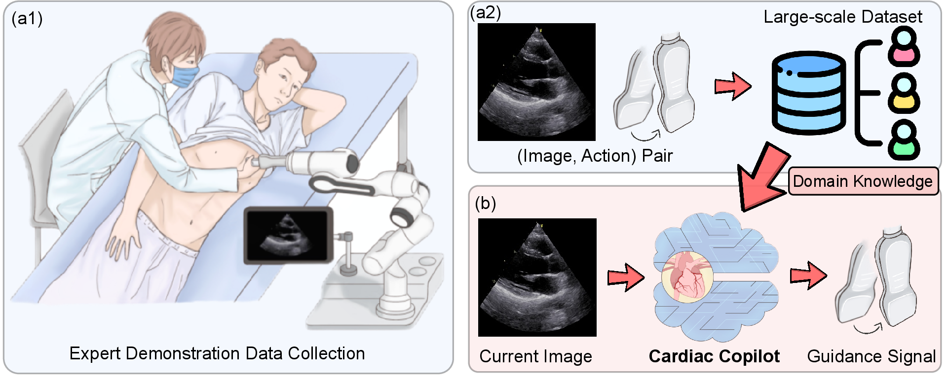 Figure 1: Schematic diagram of cardiac copilot system. (a1-2) We collect a large-scale expert demonstration dataset with extensive ultrasound image and probe motion sample pairs using a robotic arm. The demonstration data contains critical medical knowledge required for performing echocardiography. (b) We encapsulate experts’ knowledge within deep neural networks to facilitate automatic probe guidance.