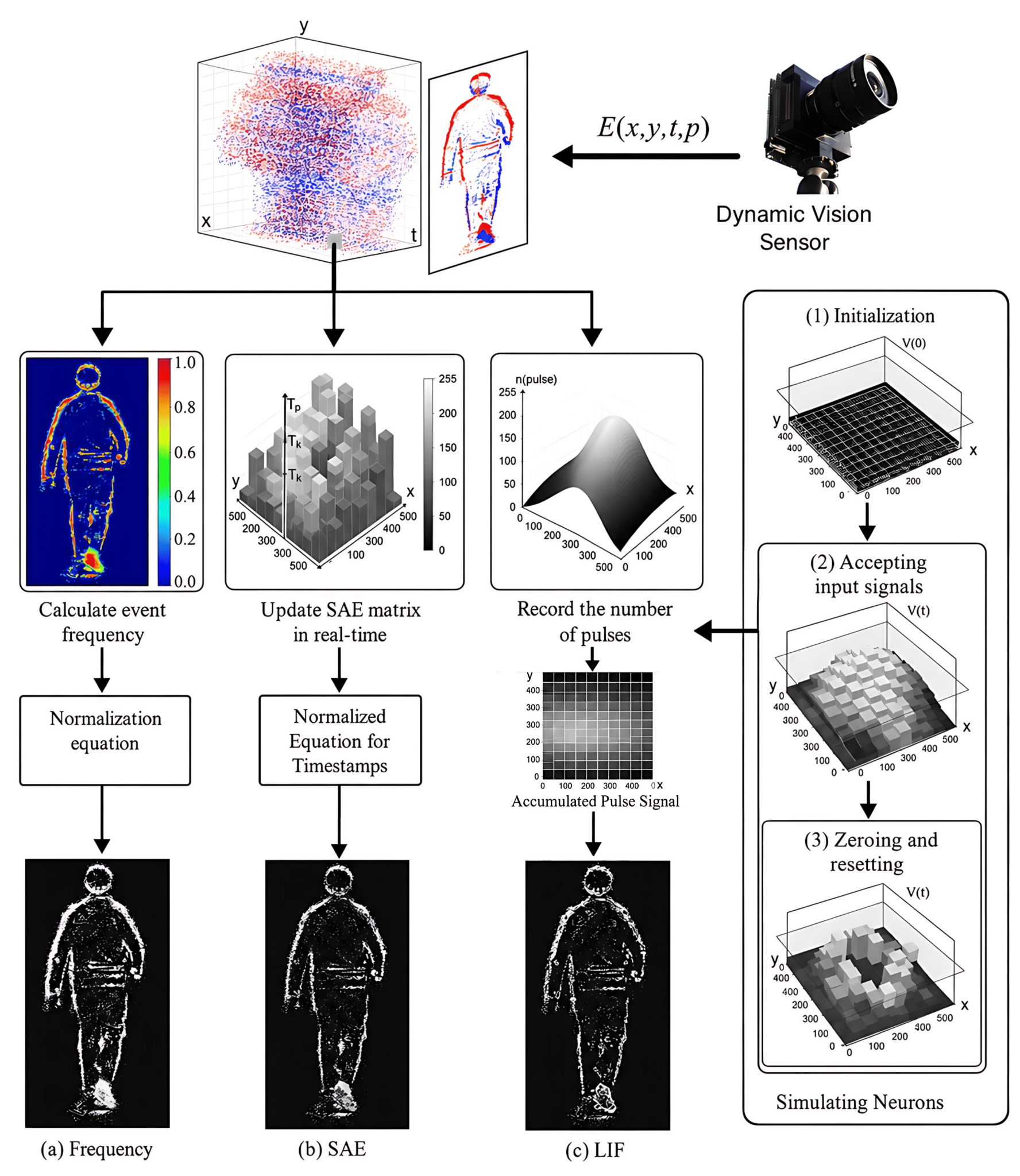 Figure 4: The conversion of event streams into event frames can be understood as projecting asynchronous event signals within a temporal window onto a frame-like representation: (a) assigning pixel luminance according to event frequency, (b) encoding the temporal order of events according to their occurrence within a selected time interval, and (c) converting accumulated events into image intensity through a neuron-inspired integration mechanism.