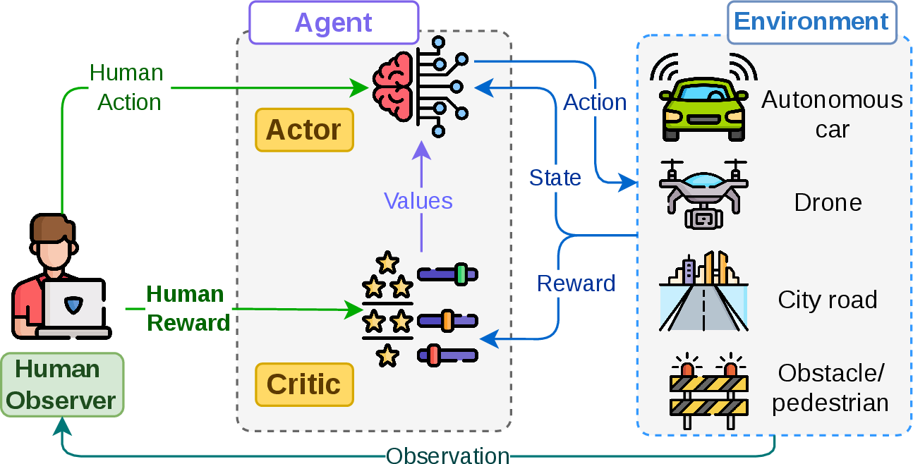 Figure 4: The actor-critic setup of HITL-RL for AVs allows human experts to inject their actions and guide the agent in critical situations, helping the AV navigate safely and effectively despite unexpected challenges. Additionally, the environmental reward is supplemented with human-defined rewards to guide the learning process. Both the environmental reward and the human reward are fed to the critic.