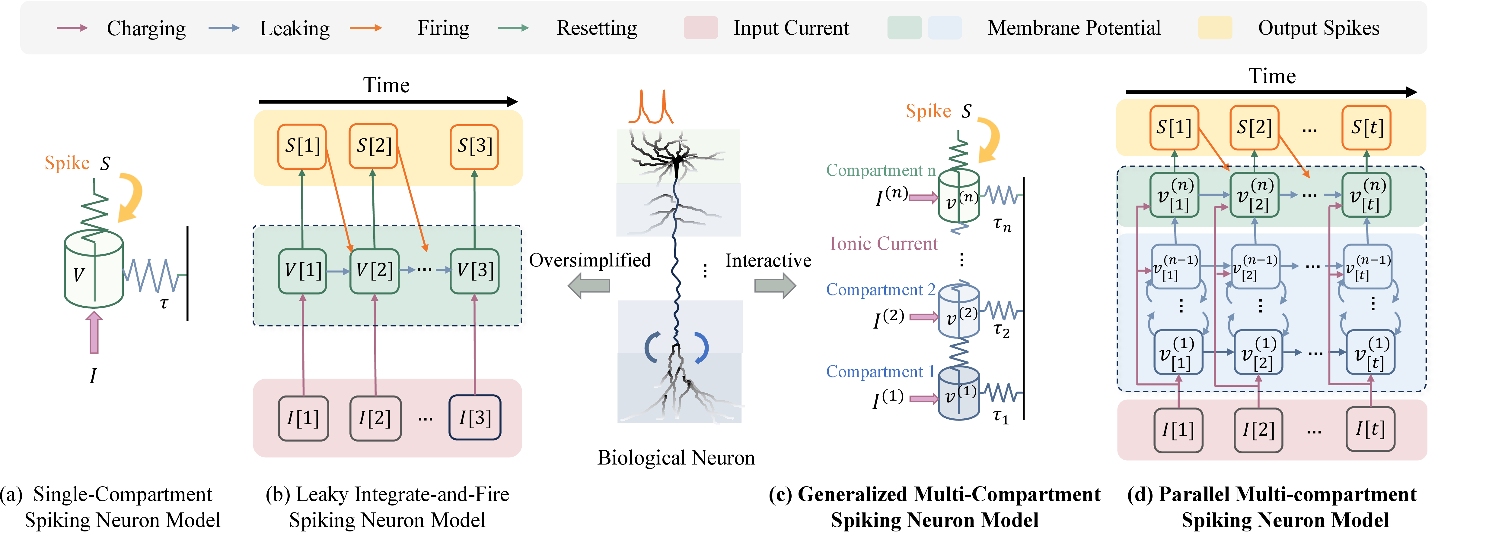 Figure 1: Comparison of neuronal structure and dynamics between the single-compartment model, biological neurons, and the proposed multi-compartment spiking neuron model. (a, b) The widely used LIF model simplifies the biological neurons into a single unit and ignores the interaction among neuronal substructures, resulting in deficiencies in multiscale temporal processing and slow training speed. (c) In contrast, the detailed morphologies and electrophysical properties of biological neurons improve their computational power in interactive ways, which is crucial for temporal information processing. Drawing inspiration from these, we propose a generalized multi-compartment spiking neuron model that divides a single neuron into a variable number of interconnected subunits with heterogeneous temporal properties and endows them with interactive dynamics. (d) Our proposed PMSN model further extends the compartmental structure in (c). It not only supports rich neuronal dynamics essential for temporal processing, but also facilitates efficient parallel training across time.