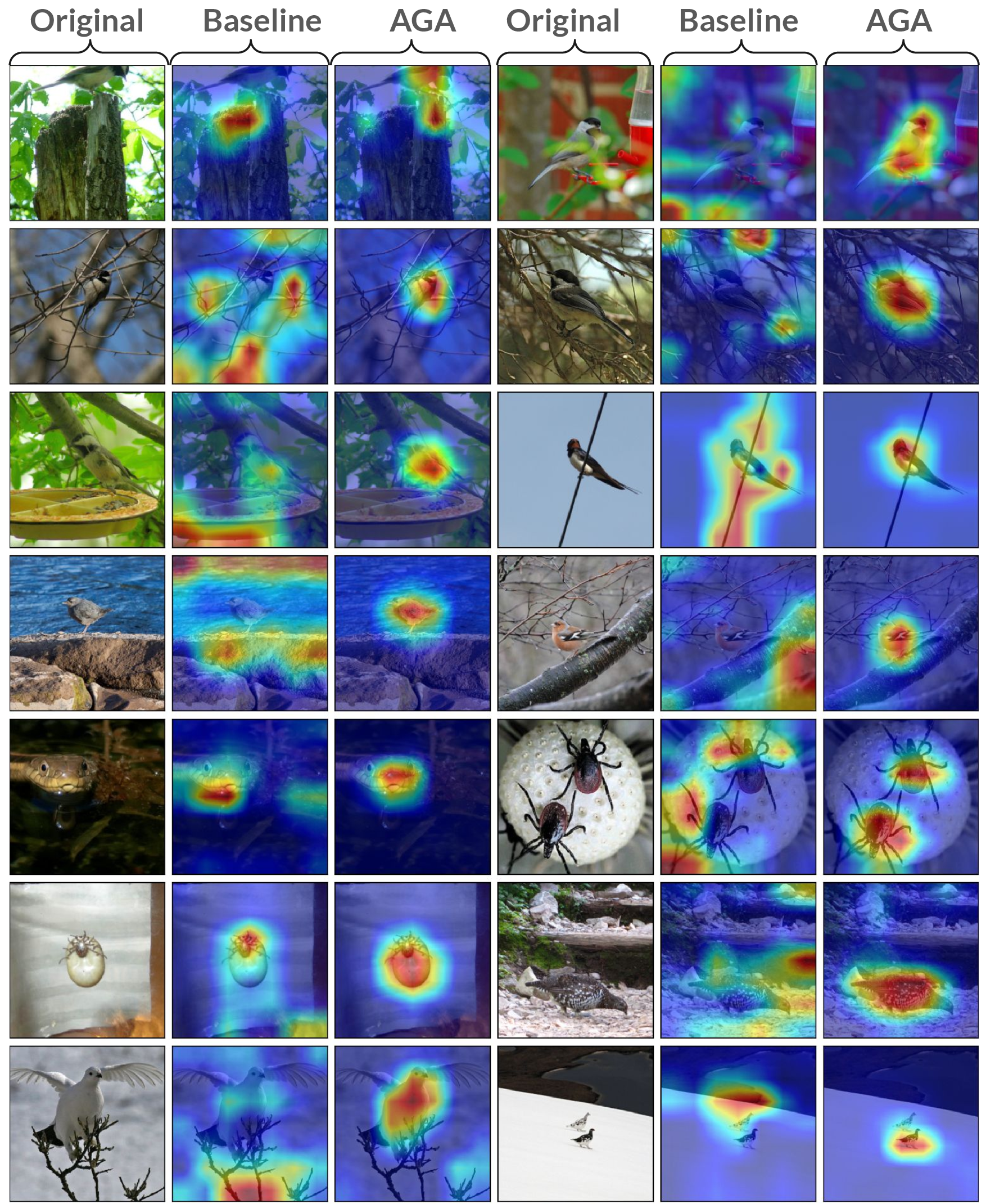 Figure 14: The figure displays additional GradCam visualization results for ImageNet10 dataset.