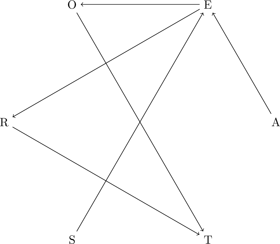 Figure 23: Survey DAG