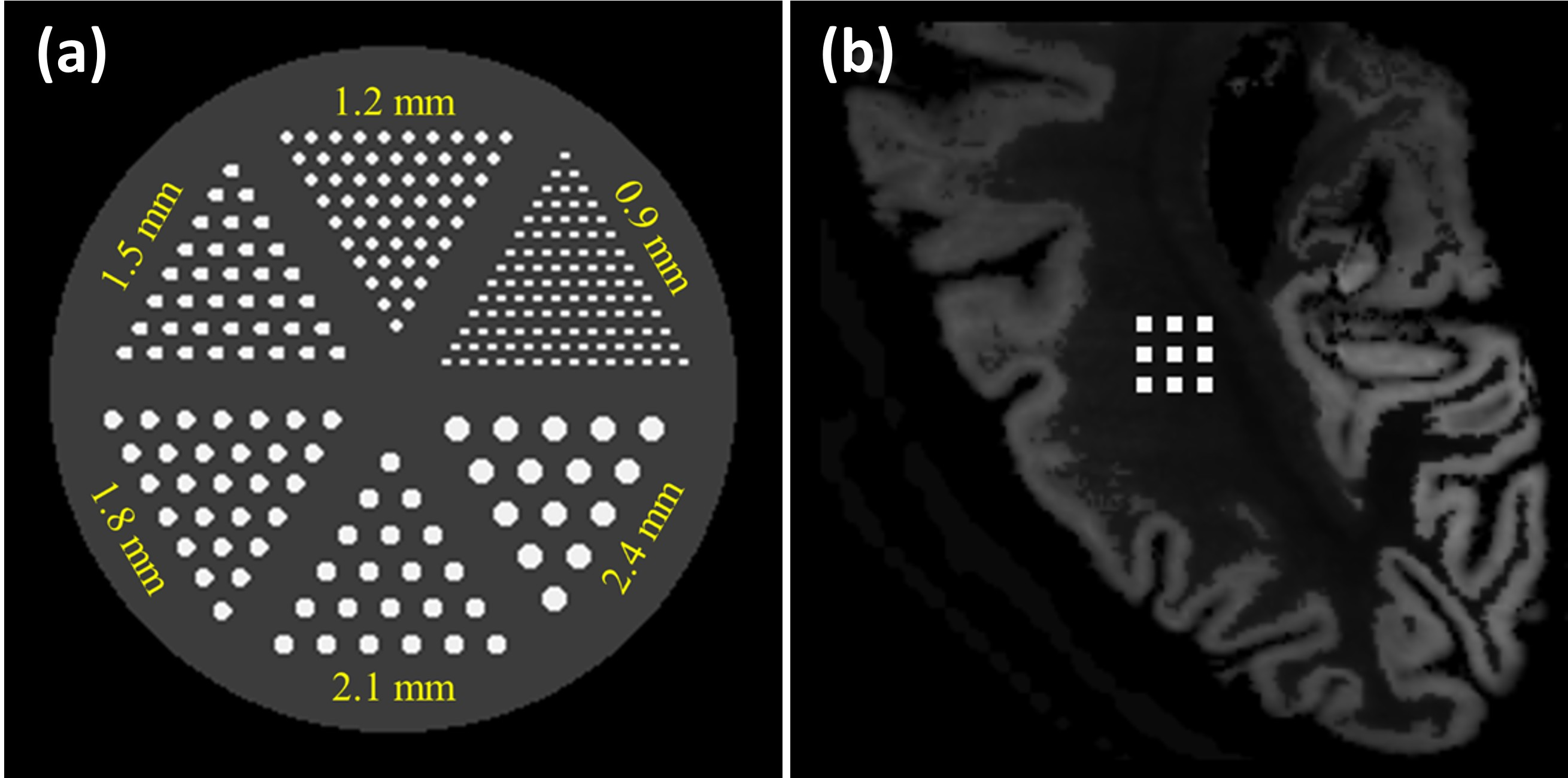 Figure 2: Activity phantoms employed. See text for details.