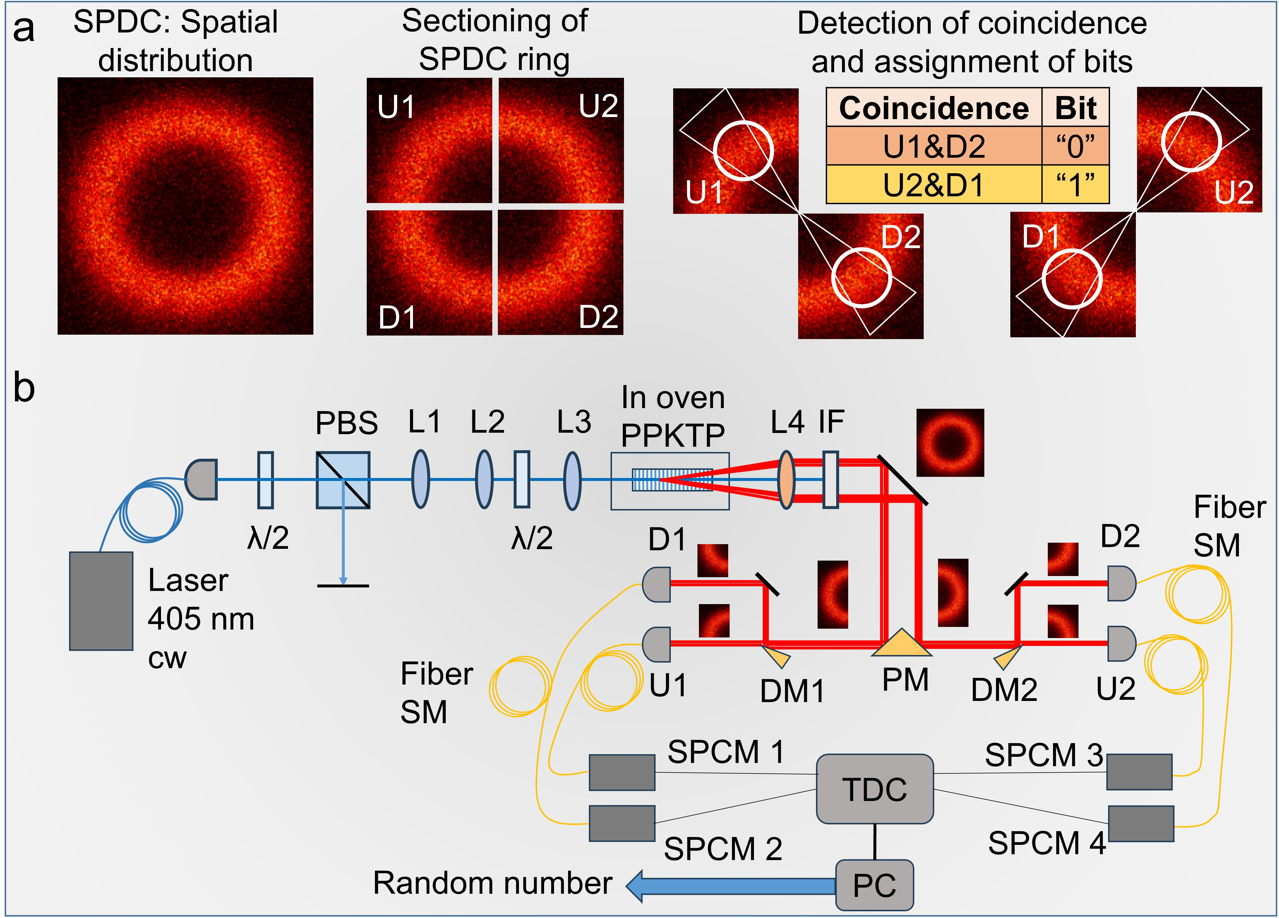Figure 1: The schematic representation of (a) the concept and (b) the experimental setup of the QRNG source. Laser: 405 nm, cw diode laser, \lambda/2: Half wave plate, L1-4: plano-convex lenses of different focal lengths, PPKTP: 20 mm long PPKPT crystal of single grating period in temperature oven, IF: Interference filter, PM: Prism shaped gold coated mirror, DM1-2: D-shaped mirrors, U1-2 and D1-2: Upper and lower sections of the SPDC ring, SM: Single-mode fiber, SPCM1-4: single photon counting modules, TDC: Time-to-digital converter, PC: Computer.