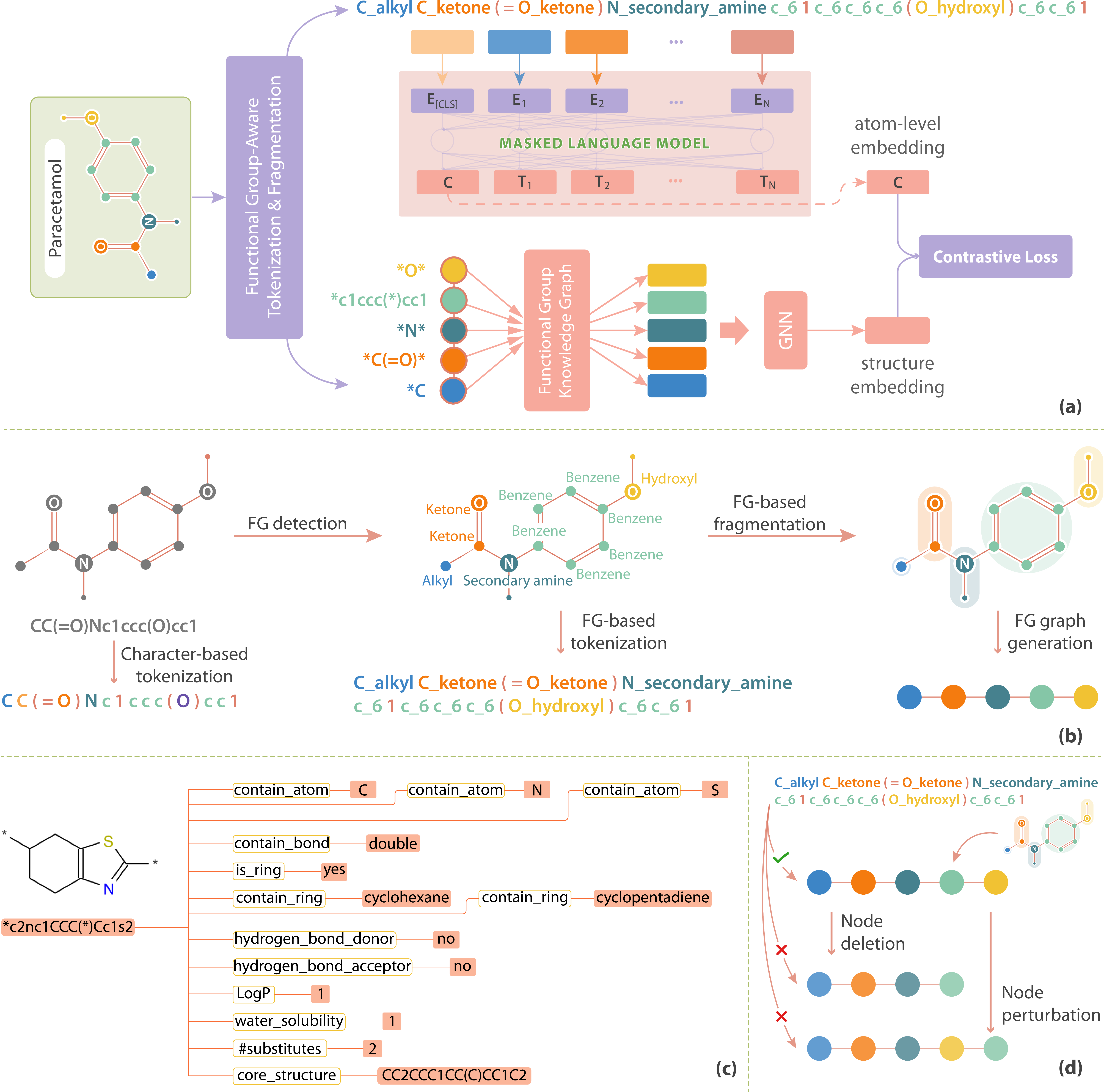Figure 2: (a) FARM’s molecular representation learning model architecture. (b) Functional group-aware tokenization and fragmentation algorithm. (c) Snapshot of the functional group knowledge graph. (d) Generation of negative samples for contrastive learning.