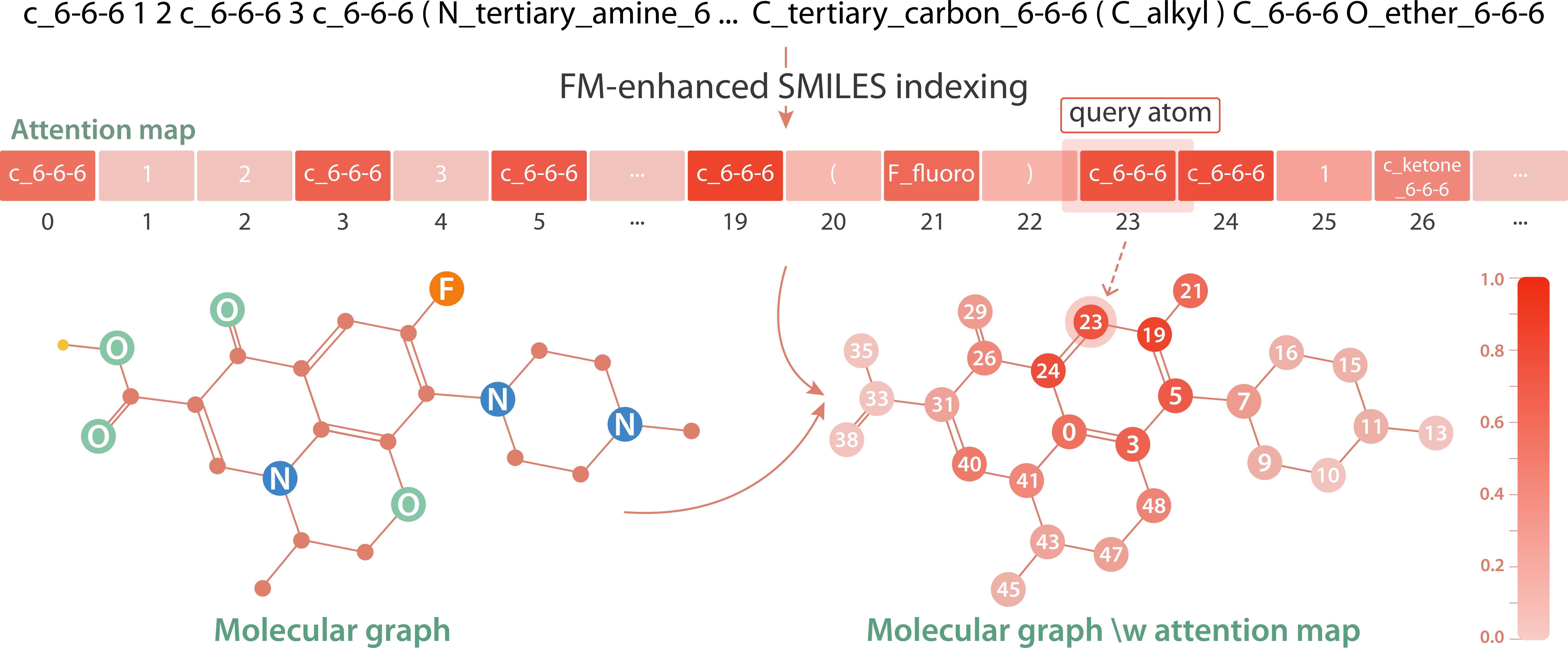 Figure 4: Visualization of the attention map of the BERT model trained with functional group-enhanced SMILES, demonstrating the model’s ability to learn and recognize the syntax of SMILES.