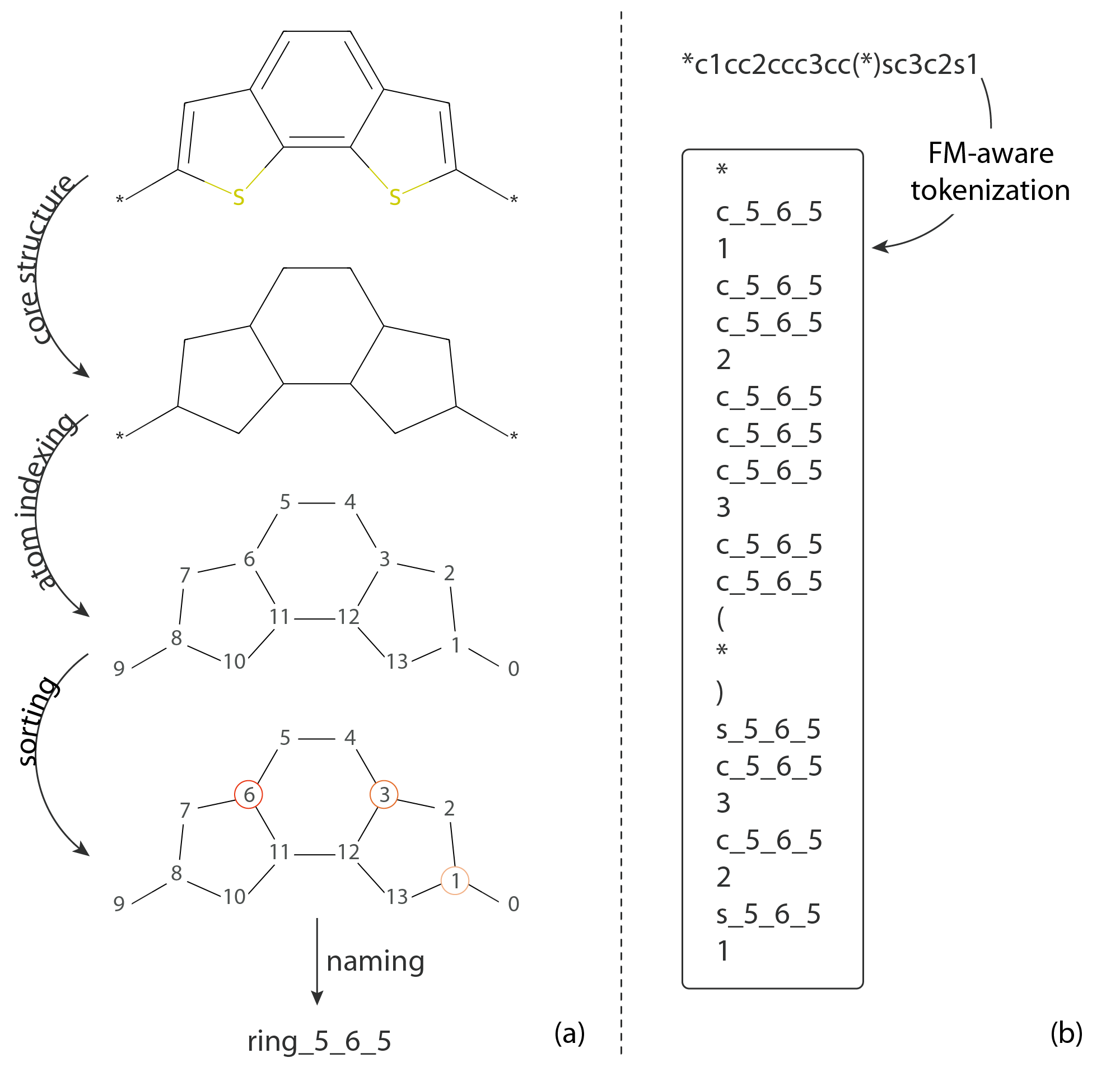 Figure 6: (a) Example of naming a fused ring system in 4 steps: generate the core structure of the functional group, index atoms using RDKit, select the smallest-index atom in each ring and sort, and name the fused ring system based on ring size. (b) Example of FG-aware tokenization.