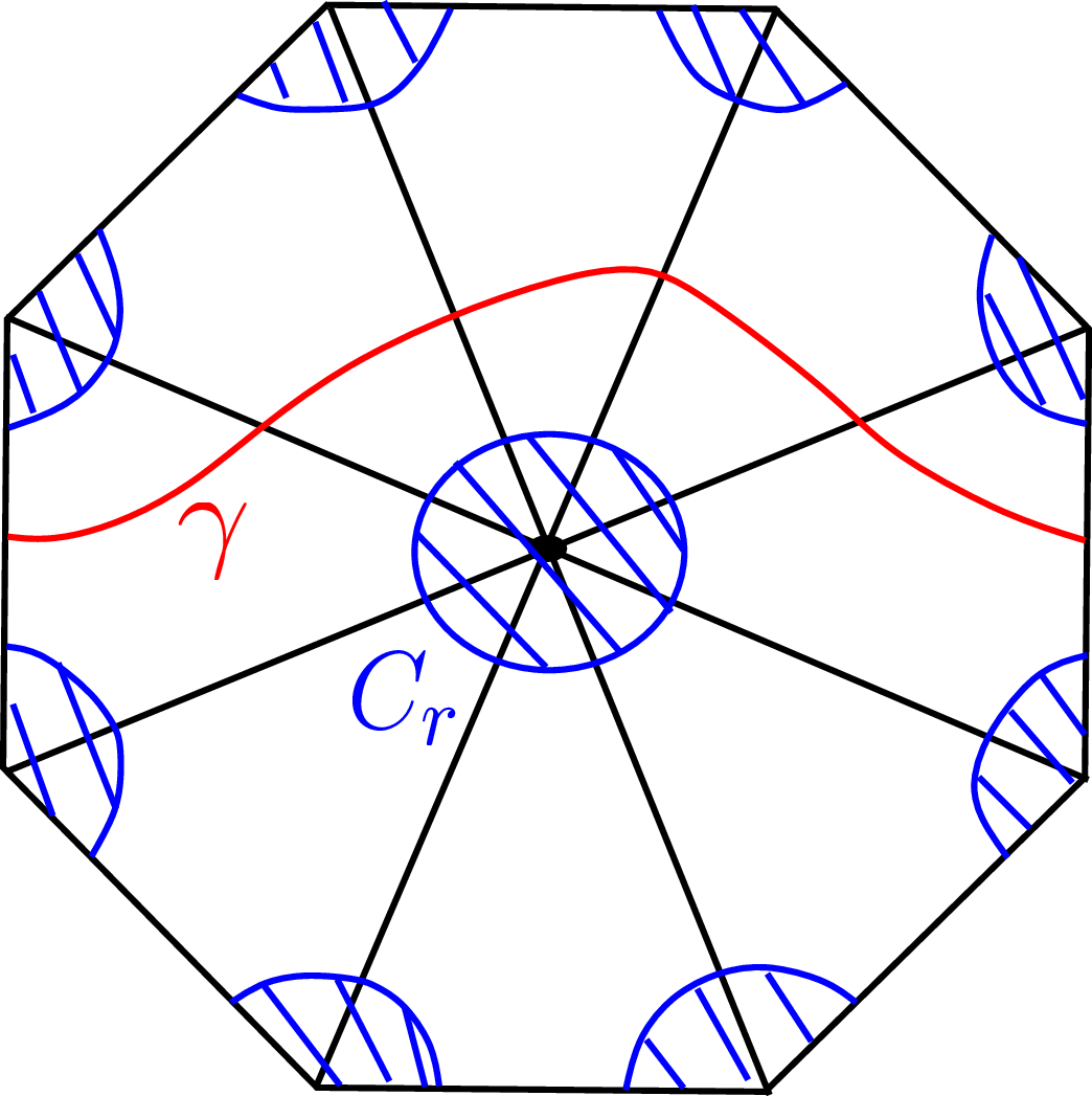 Figure 45: \gamma \in \mathcal{G}(N) and \gamma\subset {\Bbb S}-\cup_p C_r.