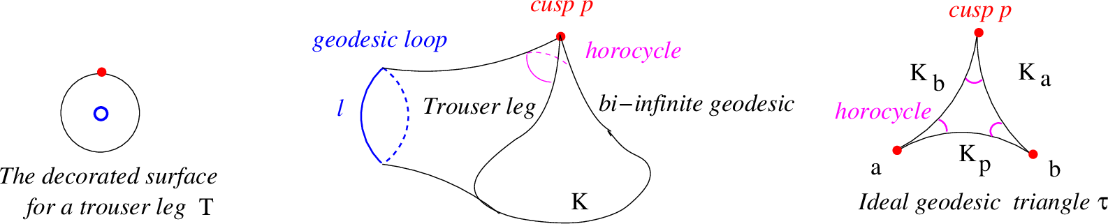 Figure 5: A trouser leg {\rm T} is a decorated surface given by an annulus with one special boundary point. A geodesic trouser leg {\rm T} carries an ideal hyperbolic structure with a geodesic loop \ell_{\rm T} and a cusp with a horocycle. The length of \ell_{\rm T} is l. The horocycle length of the bi-infinite geodesic is \log {\rm K}^{-1}. An ideal geodesic triangle \tau with horocycles has sides of horocycle lengths (\log {\rm K}^{-1}_a, \log {\rm K}^{-1}_b, \log {\rm K}^{-1}_p).