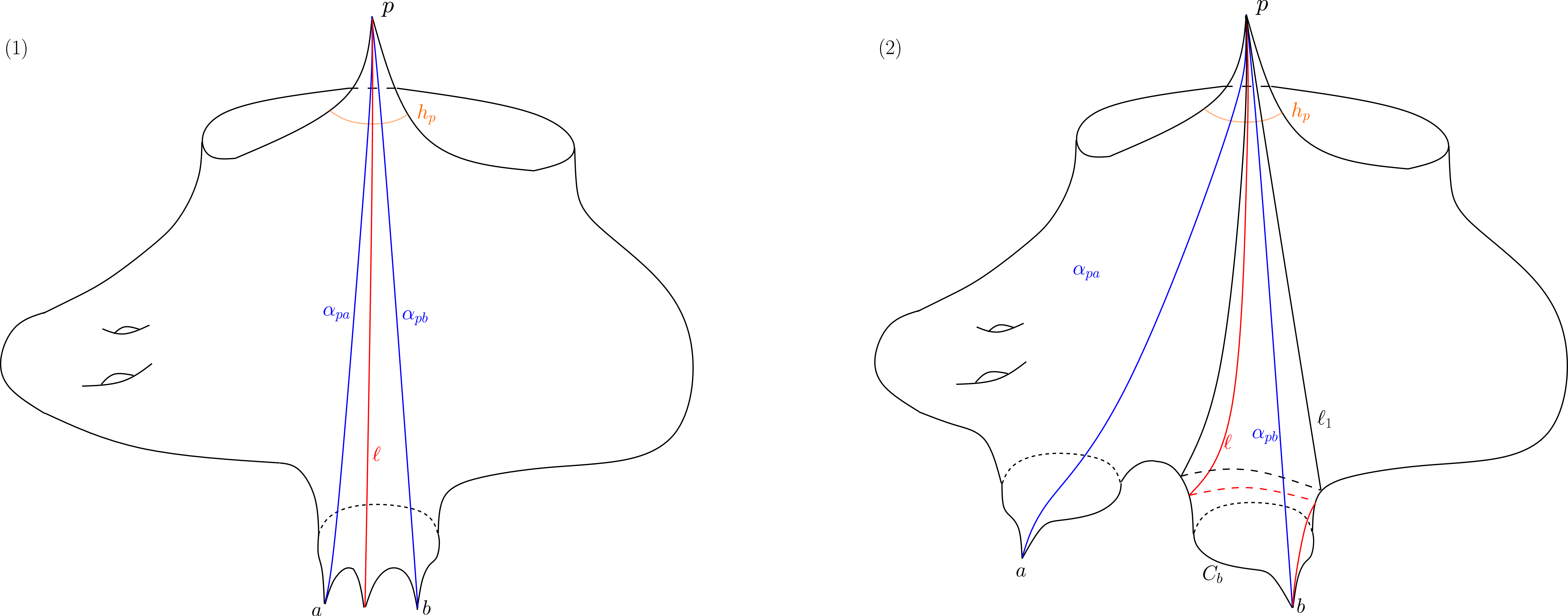 Figure 28: The opposite side of a p-narrowest triangle is a bi-infinite boundary geodesic. For example: 1) The two triangles \tau(\alpha_{pa},\ell) and \tau(\ell,\alpha_{pb}) are two p-narrowest ideal triangles, while \tau(\alpha_{pa},\alpha_{pb}) is not. 2) The triangle \tau(\ell, \alpha_{pb}) is a p-narrowest ideal triangle, while \tau(\alpha_{pa},\alpha_{pb}) is not.