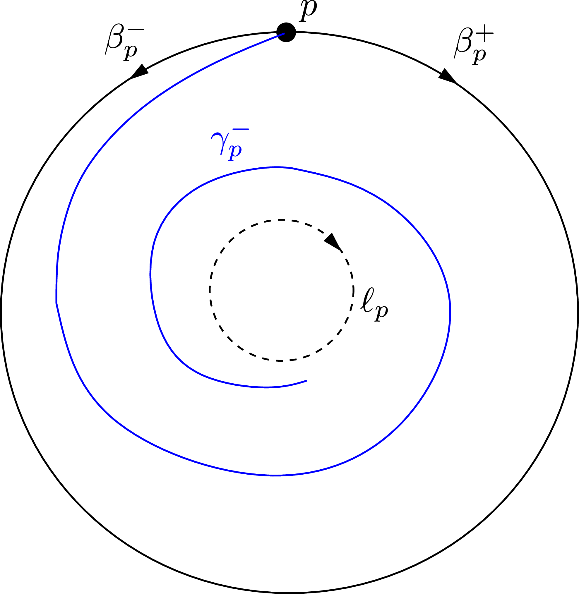 Figure 31: Boundary geodesics \beta_p^-, \beta_p^+ and the geodesic \gamma_p^- winding around the neck geodesic \ell_p. The geodesic \gamma_p^+ is not shown.
