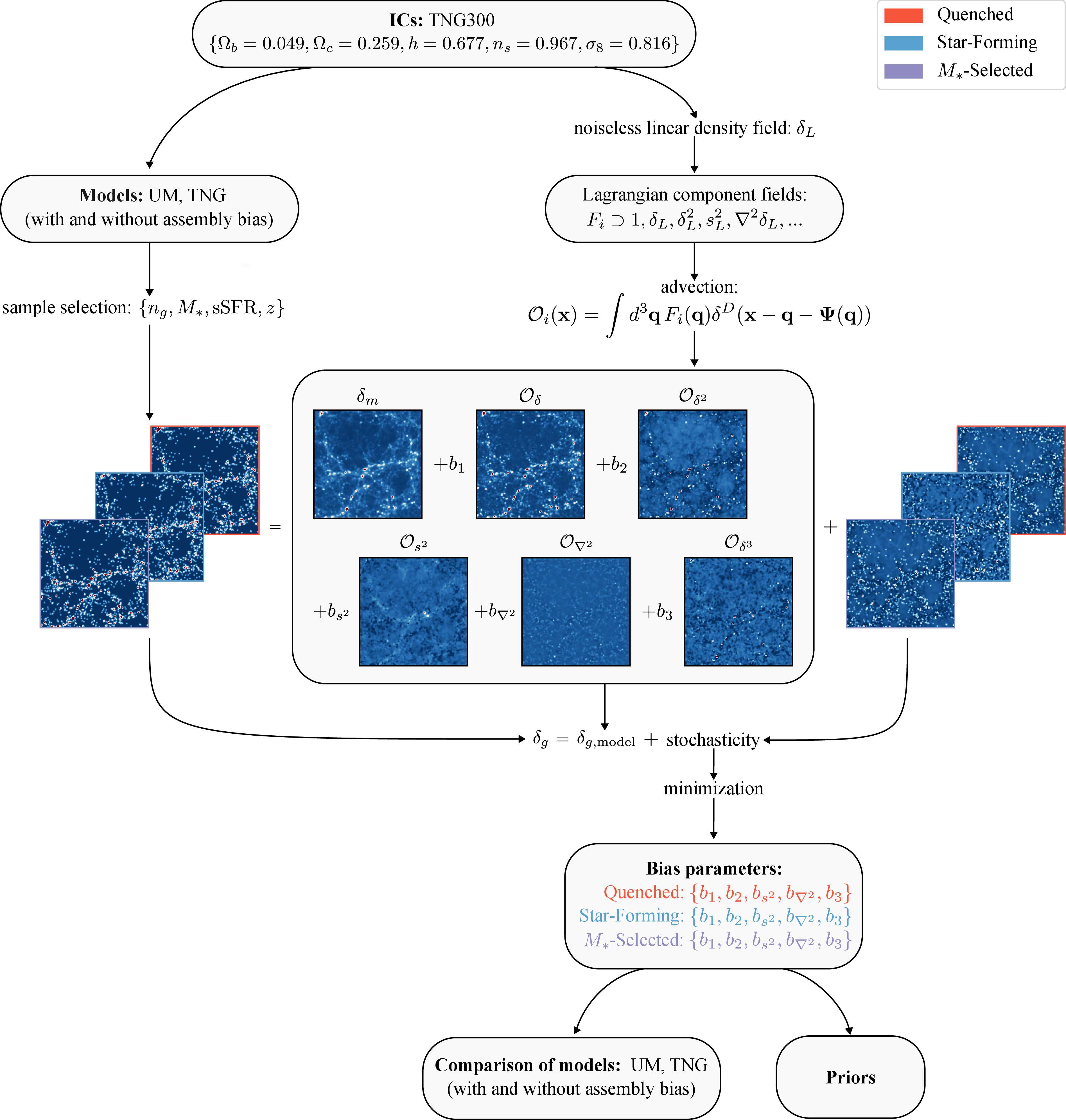 Figure 1: Visualization of the methodology of this work: starting from the same initial conditions (TNG300), we obtain both the galaxy density field \delta_g for each model (UM and TNG, with and without assembly bias) and the noiseless linear density field \delta_L. Using the latter, we construct the bias-weighted fields \mathcal{O}_i at redshift z via advection. These constitute a deterministic model \delta_{g,\mathrm{ model}} that differs from the galaxy density field \delta_g only by a stochastic term \epsilon (see Equation 4 ), which we minimize to solve for the best-fit bias parameters of each sample. Finally, we compare results between the models and set priors for use in cosmological inferences. In this figure, we visualize the density field \delta_g and stochasticity \epsilon at z=0.5 for a high number density sample in TNG.
