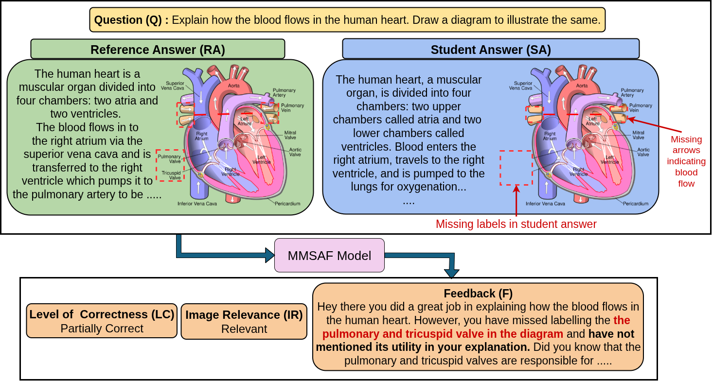 Figure 1: Illustration of the MMSAF problem with an example. (Heart diagram taken from edurev.in)