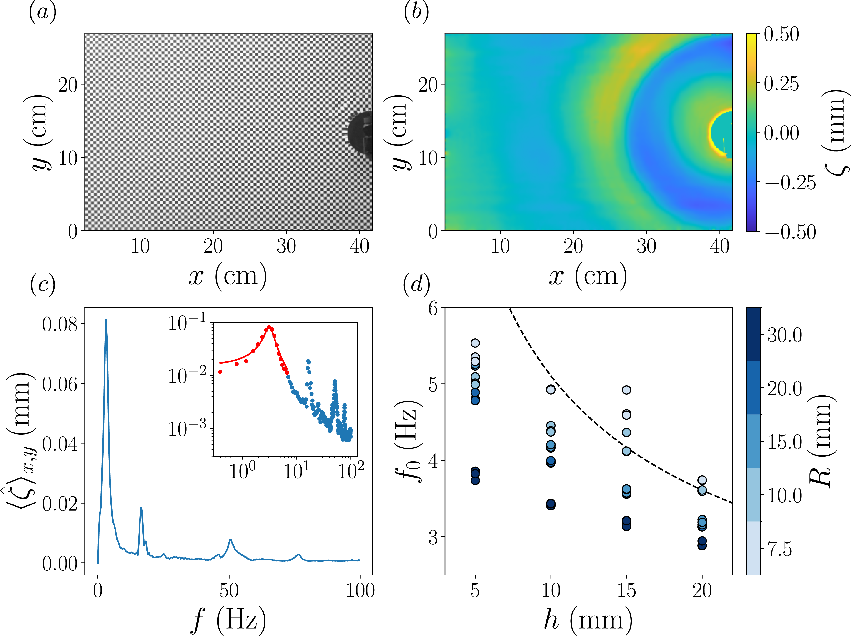 Figure 2: Wave field and resonance frequency of floating cylinders experiencing instantaneous vertical impacts. (a) Top view of a floating cylinder (R = 30 \, \rm mm, h = 15 \, \rm mm) displaced by a rod (as depicted in the setup of Fig. 1a) over a checkerboard pattern with square size a_{c} = 4.0 \, \rm mm. (b) Water surface topography at time t = 1.39 \, \rm s post impact. (c) Fourier spectrum |\langle \hat{\zeta} \rangle_{x,y}| (f) of the wave field generated by the object perturbation shown in (b). The inset in (c) depicts the same Fourier spectrum in log-log scale. The main peak represented by red dots is fitted with a Lorentzian function, plotted as a red line. (d) Measured resonance frequency as a function of the floaters’ height h and for different radii R. Each data point corresponds to an individual experiment. The black dotted line represents the prediction f_0 = \frac{1}{2\pi}\sqrt{\frac{\rho_w g}{\rho h}} obtained without considering the floater added mass.