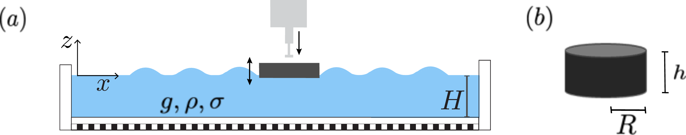 Figure 1: Experimental setup for measuring the natural frequency f_0 of a floating body. (a) Side-view schematic (not to scale) and (b) body geometry.