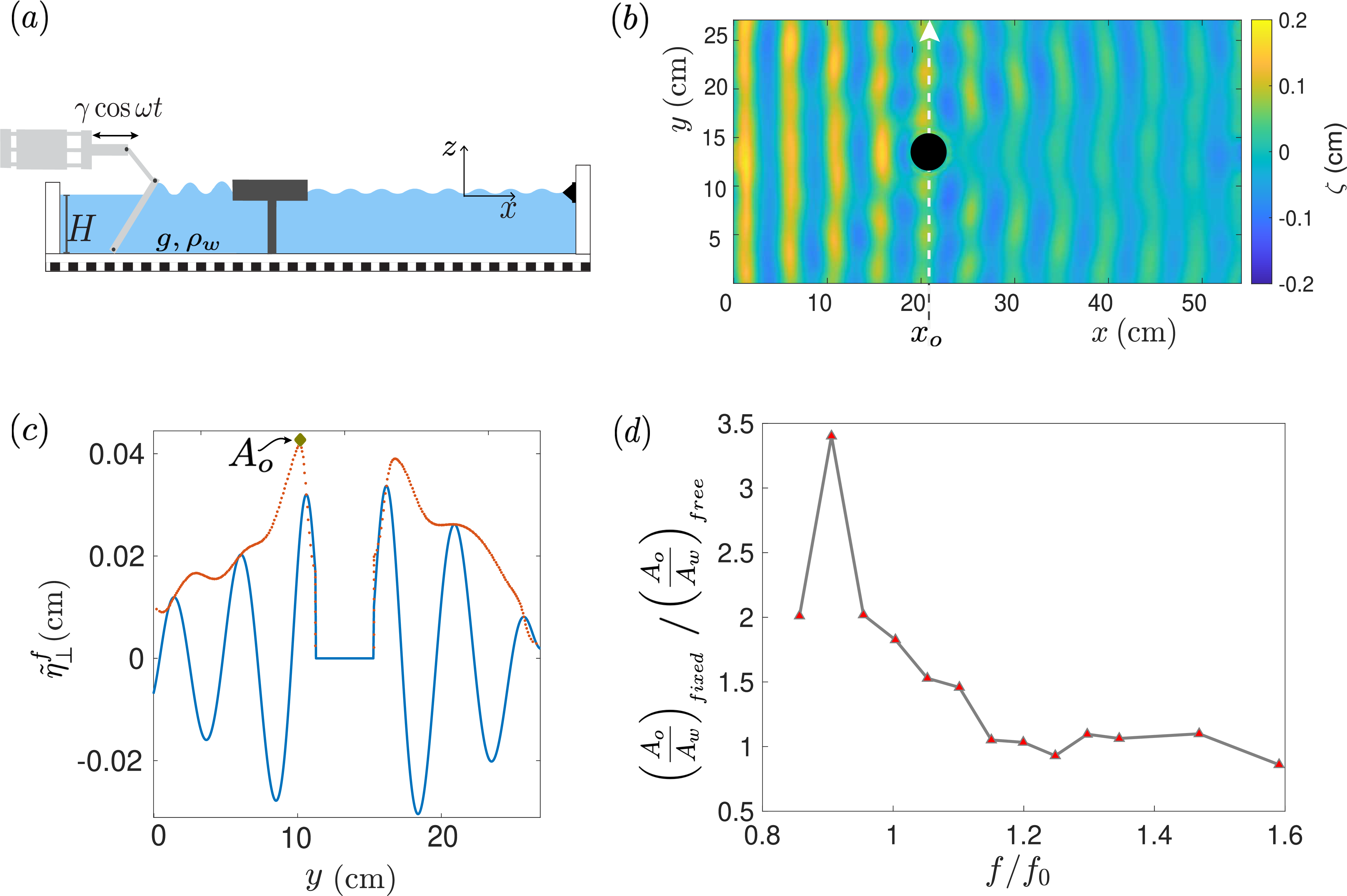 Figure 7: Experimental setup and sample data for characterizing the wave field in the vicinity of a fixed object. (a) Schematic of the experimental setup (not to scale). The floater is attached to the water tank via a metal stick. (b) Snapshot of the reconstructed wave field with forcing frequency f = 6.0 \, \rm Hz. The floater has radius R = 20 \, \rm mm and height h = 10 \, \rm mm. (c) A filtered spatio-temporal profile along the dashed line at x=x_o in (b), passing through the center of the object. The blue line shows the wave height at a given time, while the red line represents the processed signal’s envelope. The maximum of the envelope is noted A_o. (d) Ratio of the normalized amplitudes of wave emitted in the transverse direction by the fixed and the free object as a function of the normalized forcing frequency f/f_0.