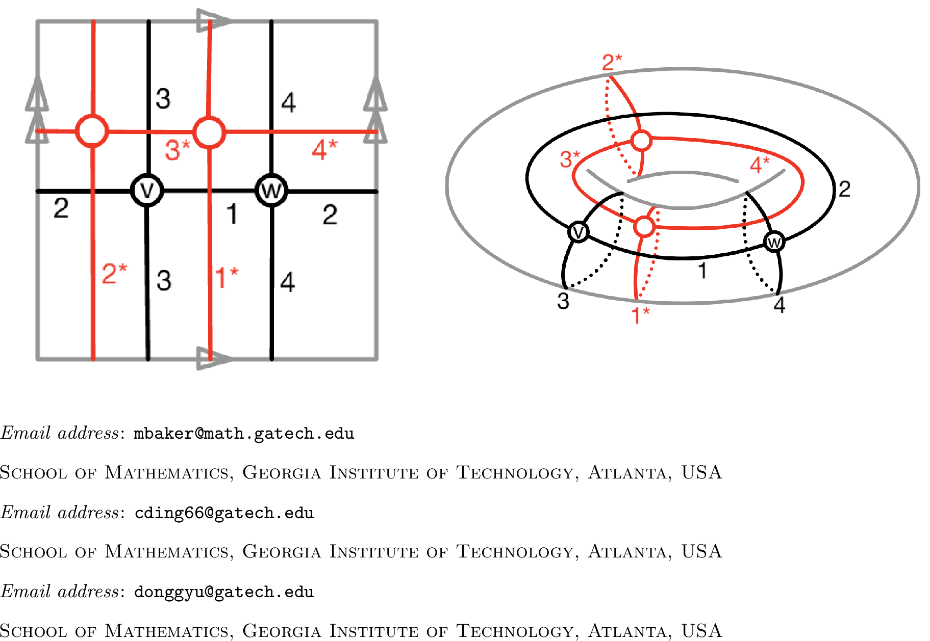 Figure 1: A graph G = (\{v,w\},\{1,2,3,4\}) embedded on a torus. The graph G is colored black and its dual G^* is colored red.