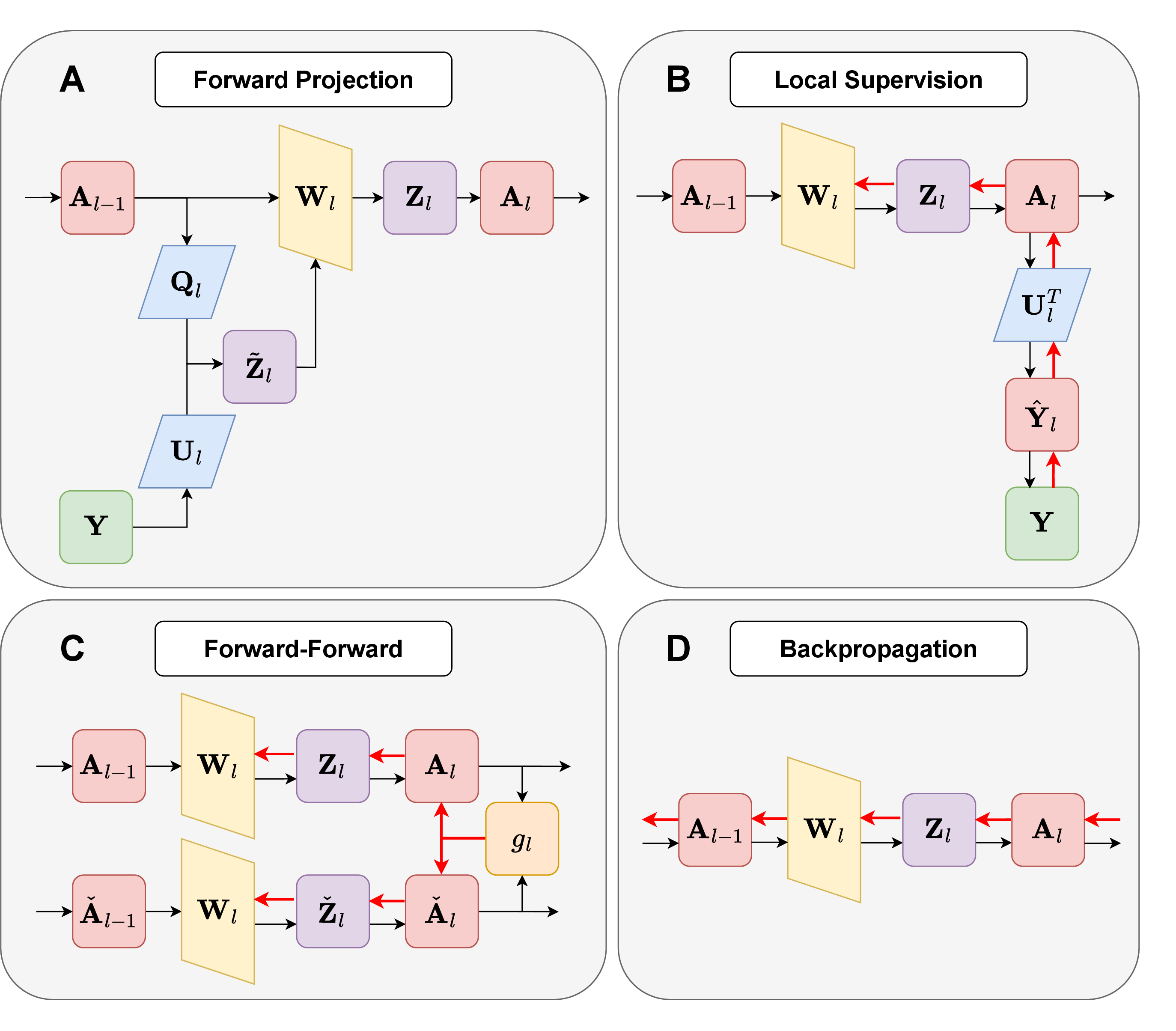 Figure 5: Training Procedures for Forward Projection, Local Supervision, Forward Forward and Backpropagation learning algorithms for the l-th hidden layer. A: Forward Projection generates target matrix \hat{\mathbf{Z}}_l by projecting pre-synaptic inputs \mathbf{A}_{l-1} by \mathbf{Q}_l and labels \mathbf{Y} by \mathbf{U}_l. Weights \mathbf{W}_l are fitted by regression, generating membrane potential \mathbf{Z}_l=\mathbf{A}_{l-1}\mathbf{W}_l. B: In Local Supervision, an auxiliary prediction \hat{\mathbf{Y}}_l is generated as a projection of the post-synaptic outputs \mathbf{A}_l, and \mathbf{W}_l is updated by a short backward pass (red arrows). C: In Forward-Forward, “positive" and”negative" pre-synaptic activities, {\mathbf{A}}_l and \check{\mathbf{A}}_l, are generated from true and spurious data-label pairs, respectively. \mathbf{W}_l is updated to maximise positive activity whilst minimising negative activity. D: In backpropagation, \mathbf{W}_l is updated along its gradient with respect to the backpropagated error.