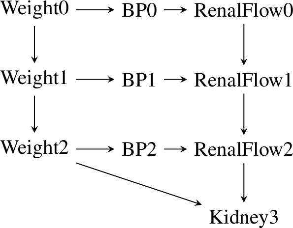 Figure 5: Causal graph for the kidney function example from 2. The doctor can intervene on any node X except Kidney3, making use of the measured variables \mathbf{Z}_{X} until (and including) that week, thus including in particular \mathrm{An}(X)\setminus \{X\}).