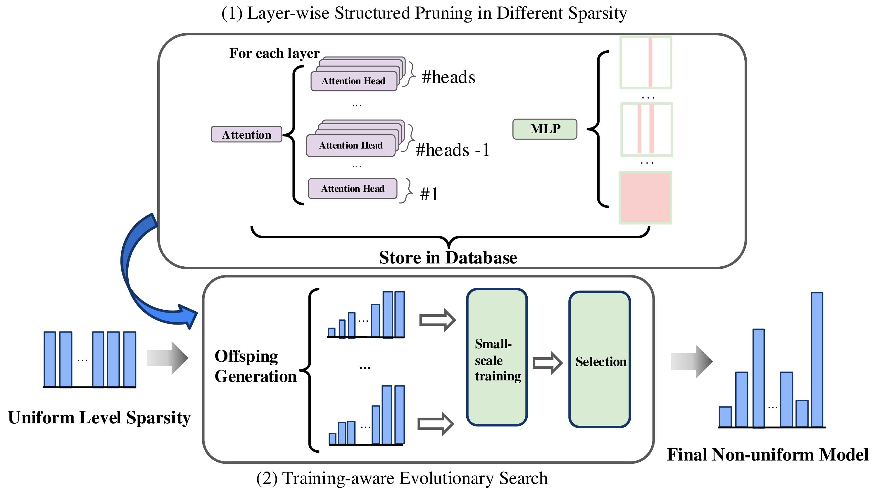 Figure 1: Visual illustration of DarwinLM pipeline. 1) generate sparsity level database with different sparsities by second-order structured pruning. 2) evolutionary search with training-aware selection based on the sparsity level database.