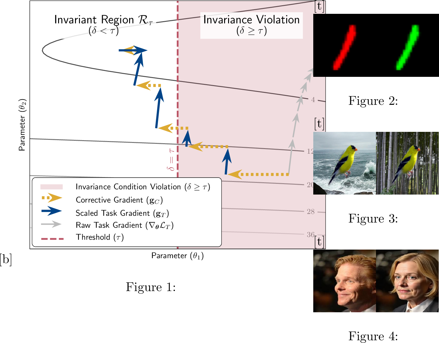 Figure 1: Schematic visualization (a) of our approach. The first two task gradients (blue) are scaled to two-thirds the length of the corrective gradient due to the violation of the invariance condition. Invariance pairs for (b) ColoredMNIST, (c) Waterbirds-100, and (d) CelebA define the spurious correlation and are used for the invariance condition and corrective gradient formulation.