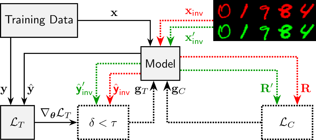 Figure 2: Schematic overview of the IPG training method (dotted) as an extension to the traditional approach using the example of ColoredMNIST.