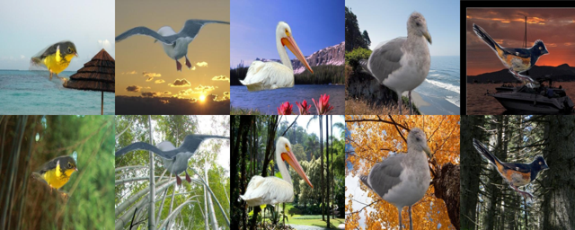 Figure 6: Representative invariance pairs for Waterbirds-100.