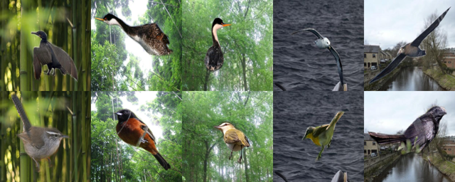 Figure 7: Representative invariance pairs for Waterbirds-100-reverse.