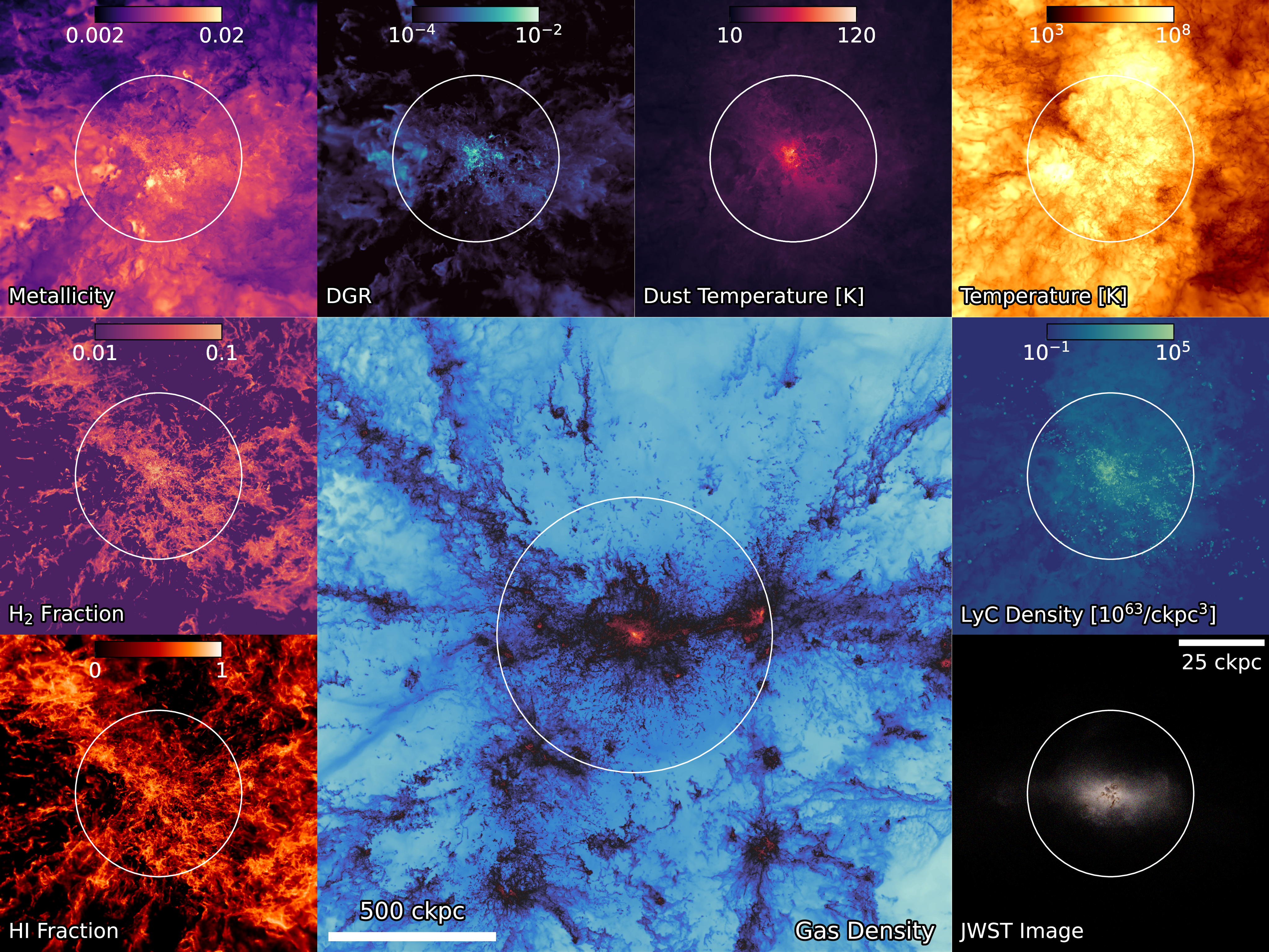 Figure 2: A qualitative illustration of the various physical quantities predicted by the thesan-zoom simulations at z=3.2. The central figure shows the large-scale (2~\mathrm{cMpc}) gas density distribution around the target galaxy in the m12.6\_4\mathrm{x} simulation, with the white circle denoting its virial radius. The smaller figures showcase a smaller region of 100~\mathrm{ckpc} around the target galaxy, and the circles indicate the half-mass radius of stars. Clockwise from bottom-left, we plot the fraction, fraction, gas phase metallicity, dust-to-gas-ratio (DGR), dust temperature distribution, gas temperature distribution, the LyC photon density (combining all three LyC bands) and a mock JWST image generated from the F277W, F356W, F444W bands. Except for the last image, all plots show the mass-weighted averages along the line of sight, which extends over the same length as the other two dimensions of the figure.