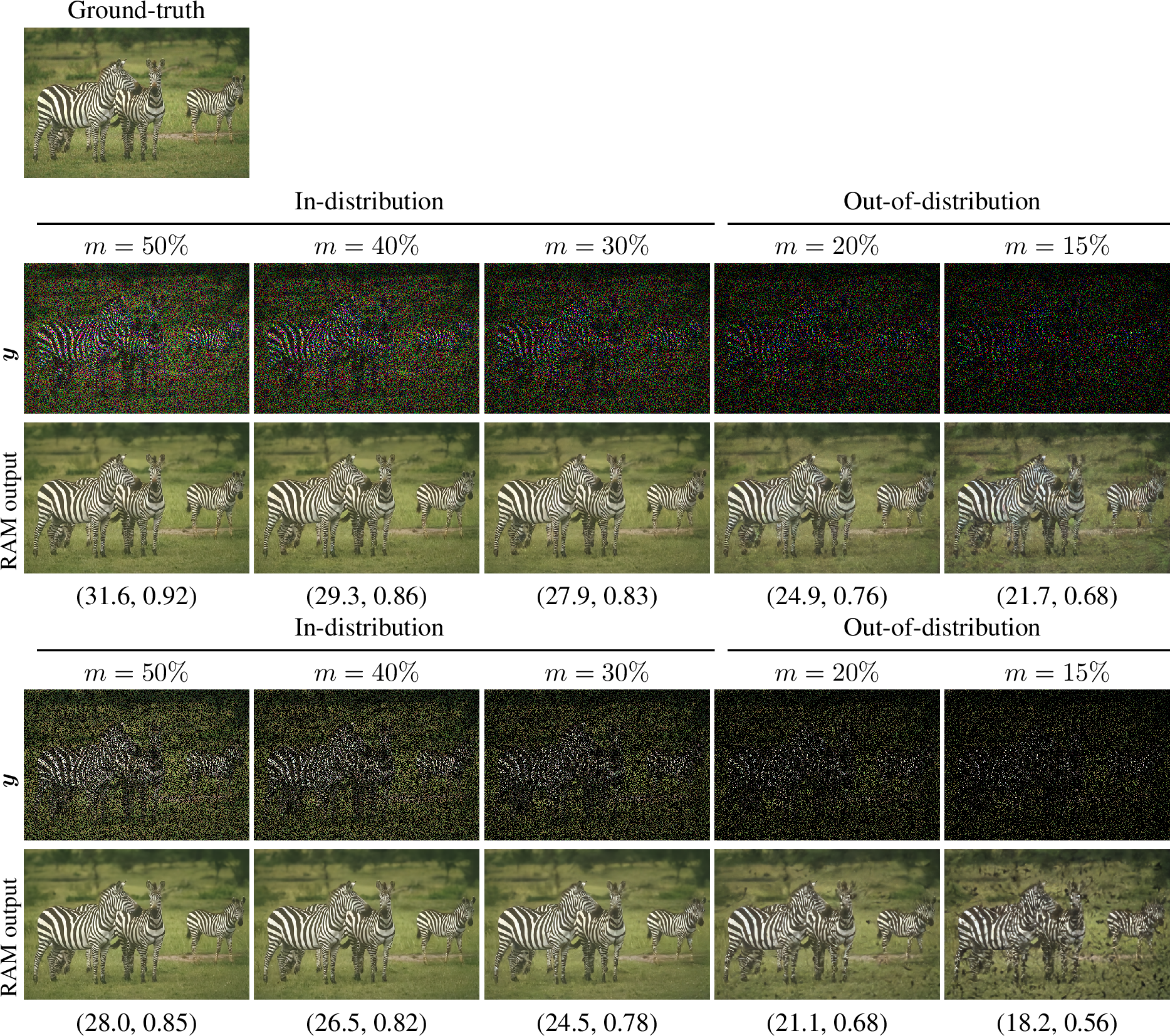 Figure 12: Color inpainting with Poisson-Gaussian noise on a sample from the BSD68 dataset. (PSNR, SSIM) metrics are provided below each reconstruction. Top rows: inpainting with per-channel masking, for various sparsity factors m (m=30\% means that, for each channel, 30\% of the pixels are kept). Bottom rows: inpainting with pixel-wise masking, for various sparsity factors m (m=30\% means that 30\% of the pixels are kept).