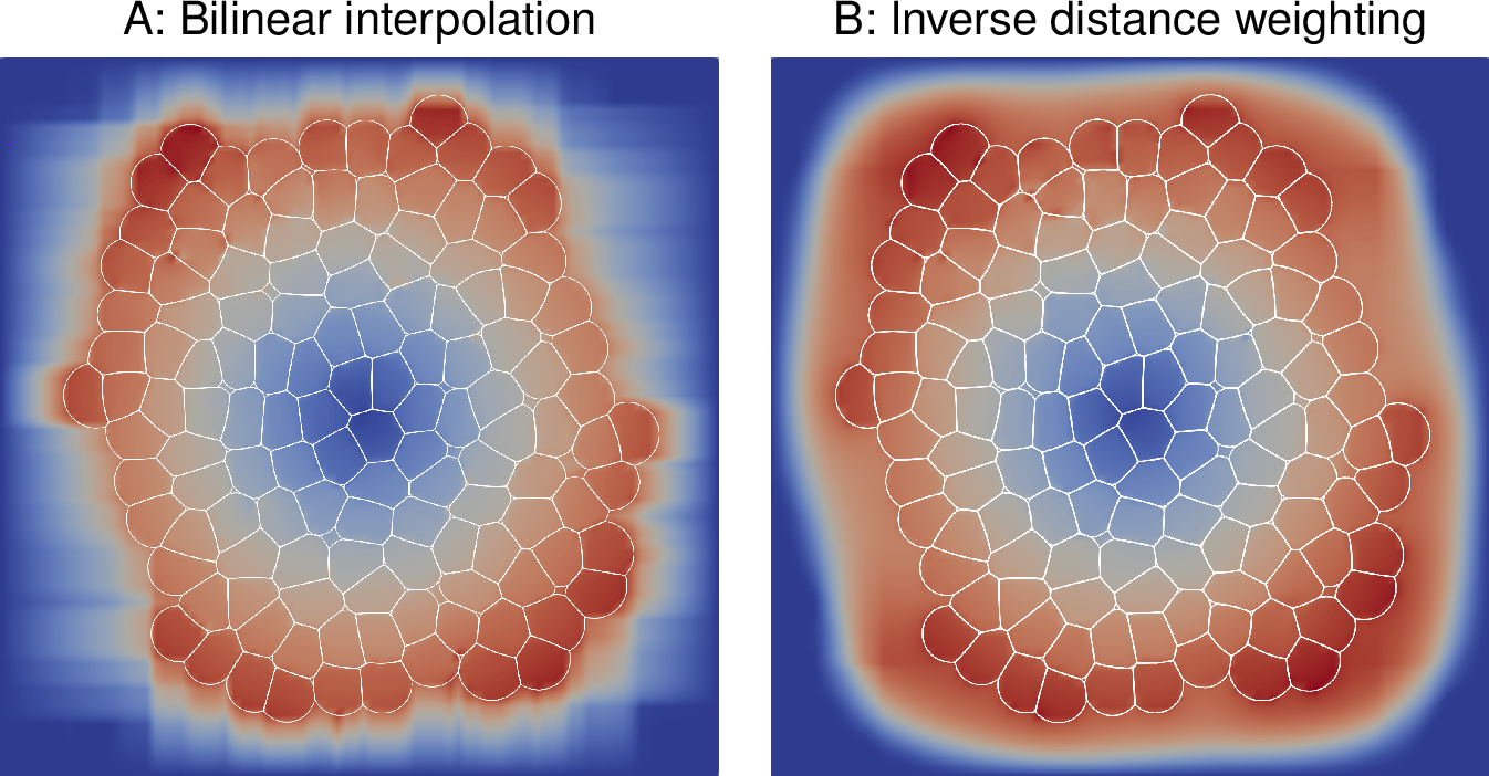 Figure 1: Velocity field interpolation methods for the extracellular space. Vertex velocities from the off-lattice cell boundaries (white) are used to define the velocity field on the finite-difference lattice. In the domain external to the tissue, either bilinear interpolation between the tissue boundary and the lattice boundary (A), inverse distance weighting (IDW) of all cell vertices within a user-specified radius (B), or zero velocity (not shown) can be used. IDW avoids artifacts which may be undesired in applications in which the ambient flow field matters, but is more computationally expensive. The color shows the resulting velocity magnitude (blue: 0; red: maximum).