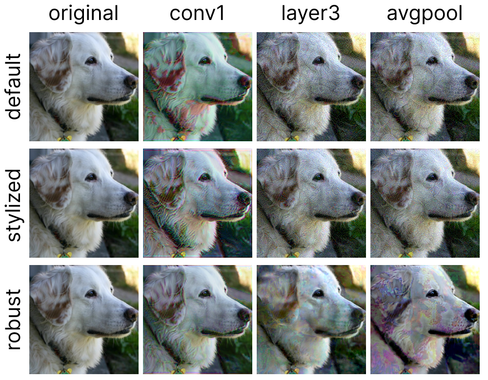 Figure 1: Examples of image modulation using models with different training regimes but the same architecture as the robust ResNet50 used in this study. The robust ResNet was trained to be resistant to adversarial attacks, whereas the default model was trained on standard ImageNet data, and the stylized model was trained on stylized versions of ImageNet [1]. When the same modulation parameters were applied to each model, we found that, particularly in higher layers, the default and stylized models failed to produce clear modulations from the original image, in contrast to the robust model (cf. Feather, 2023).