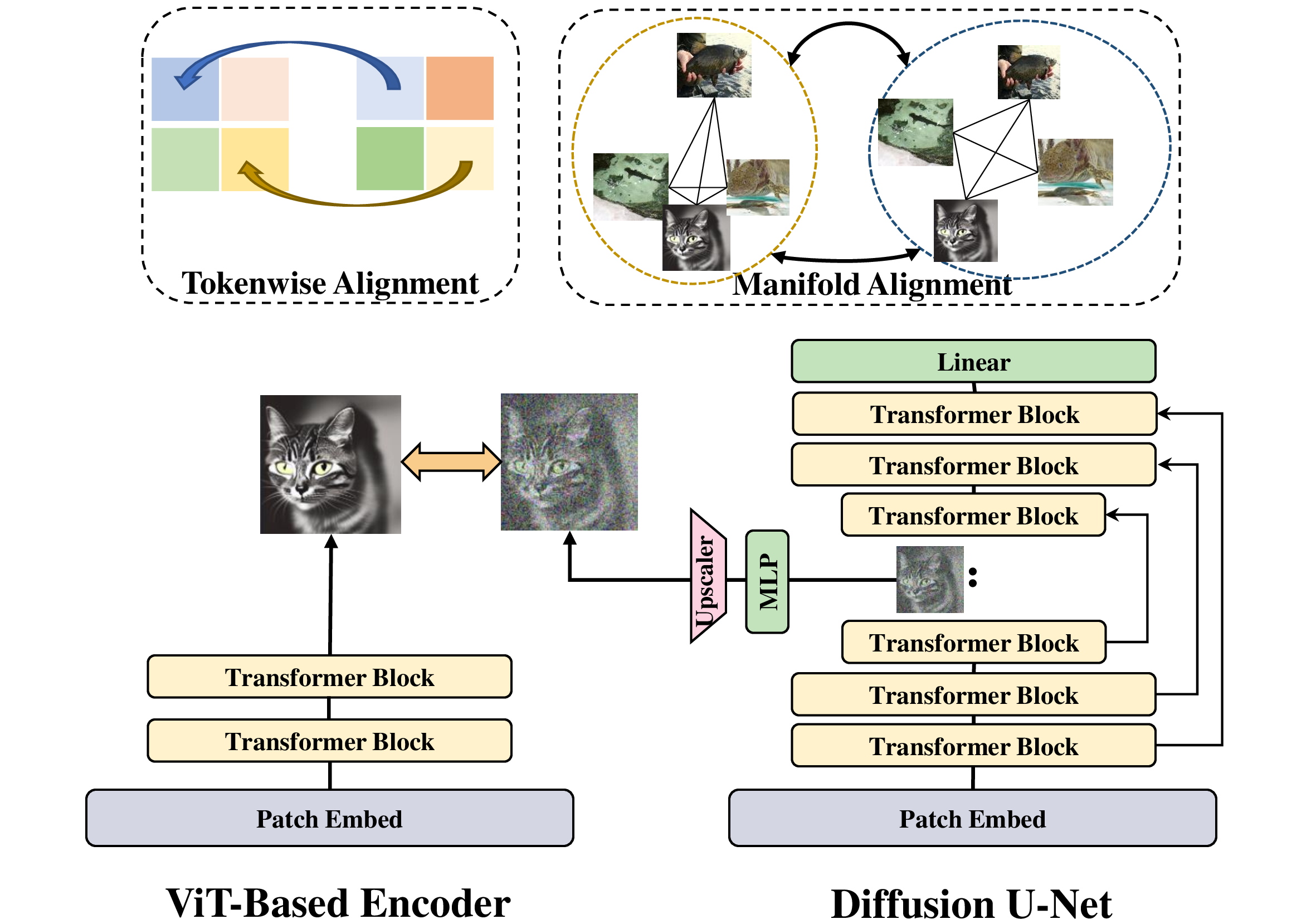 Figure 1: The proposed U-REPA framework. We investigated and found that semantic-rich intermediate layers are the best for representation alignment, dimension and space gaps hinders alignment efficacy. To counter these challenges, we scale-up features and propose manifold alignment.