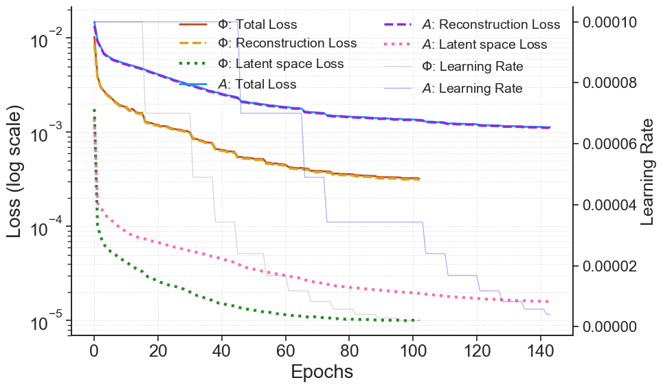 Figure 4: Training and validation loss curves for the amplitude and phase models.