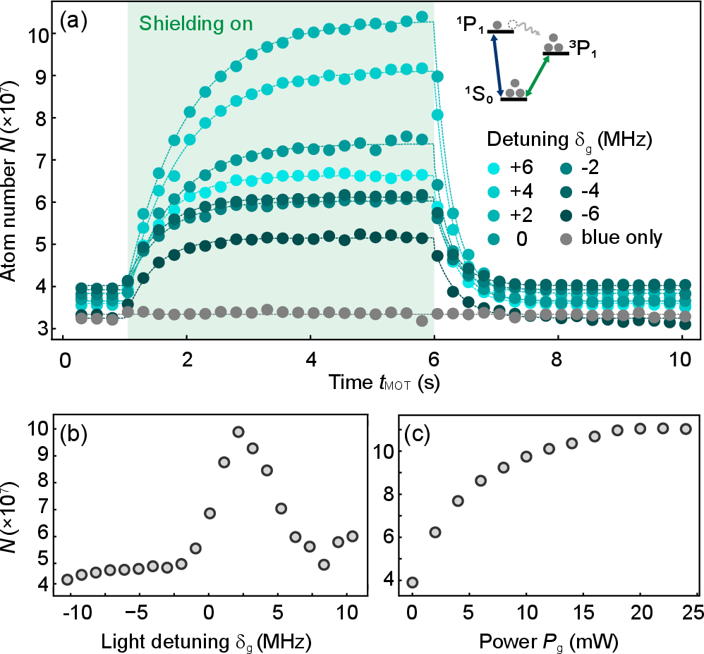 Figure 3: Shielding enhancement. (a) Atom loading in the blue MOT (^1\text{S}_0\rightarrow{}^1\text{P}_1) is enhanced by two pairs of horizontal green beams (^1\text{S}_0\rightarrow{}^3\text{P}_1). After the blue MOT reaches saturation, the green light is turned on from t_\text{MOT}=1 to 6\,s. In contrast to the steady-state MOT number, the initial loading rate is less sensitive to the detuning of the green light. The power per beam is 22.5\,mW. The dashed lines represent fits to the data using exponential growth and decay curves. (b) The saturated MOT number is probed as a function of the detuning of the green light. (c) The enhancement of the green light is saturated at around 20\,mW per beam. Here the detuning is set to +2\,MHz.