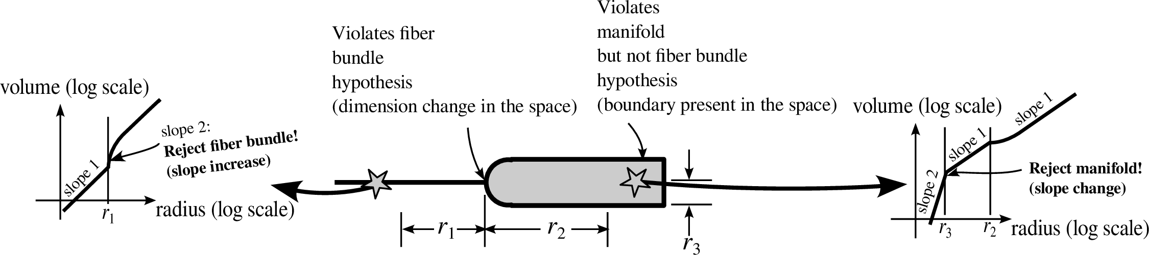 Figure 2: Interpretation of the manifold and fiber bundle tests: the manifold test detects any slope changes in the log volume versus log radius curves, while the fiber bundle test only detects slope increases.