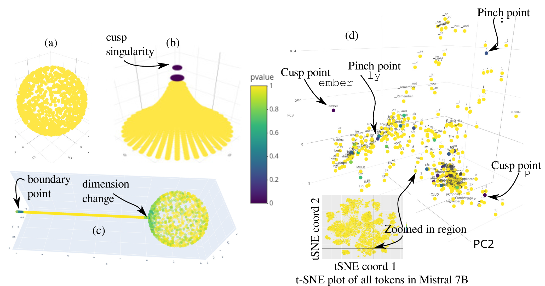 Figure 4: This figure shows the application of this paper’s manifold hypothesis test on three synthetic datasets: (a) a manifold, the unit sphere in \mathbb{R}^3, (b) a fiber bundle, the cusp surface z^8 + x^2 + y^2 = 0 in \mathbb{R}^3, (c) neither, a “lollipop” space, and (d) a neighborhood of the token ember in Mistral7B. Points are colored by the p values of the manifold hypothesis test; darker colors mean reject the manifold hypothesis.