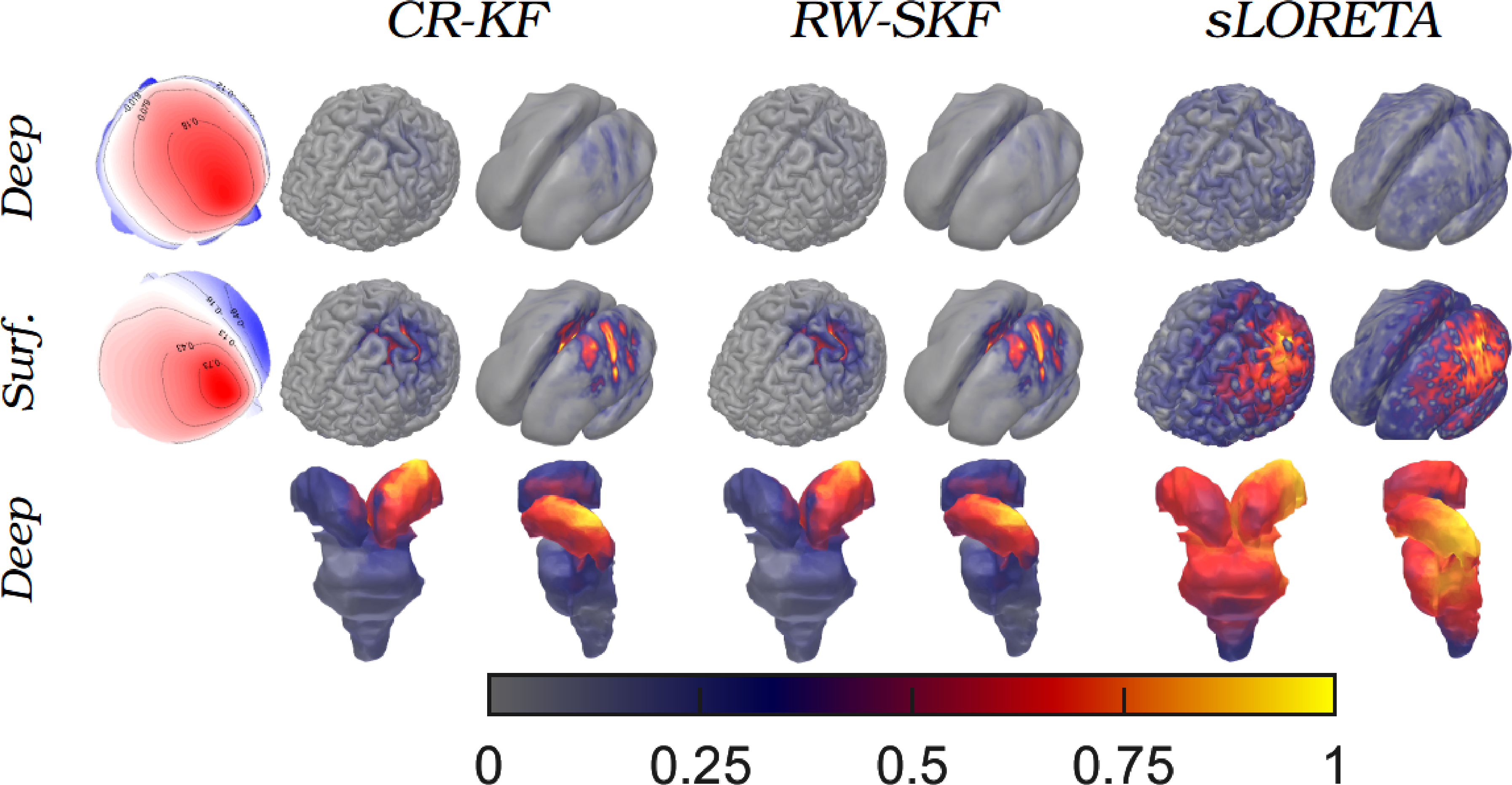 Figure 9: Visualization of spatial distribution of the Change Rate Standardized Kalman filter (CR-SKF), Random Walk-SKF (RW-SKF), and sLORETA estimations of the simulated track peaks presented for each method in adjacent columns. The words "Surf." and "Deep" indicate whether the row displays estimations of surface or deep activity. Next to these, topographies of the normalized peak activity are presented.