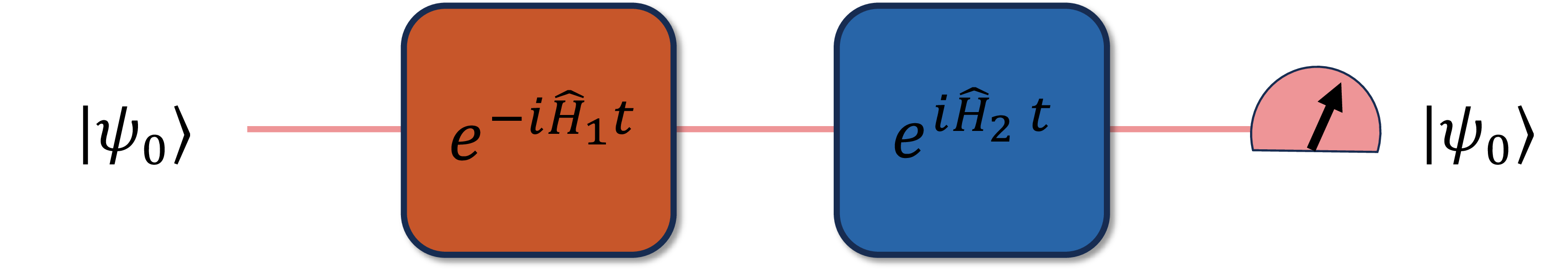Figure 1: Protocol for measuring the Loschmidt echo defined in Eq. 1 . The protocol consists of forward evolution followed by backward evolution and a final projection onto the initial state. This return-probability measurement is a special case of the more general echo transition probabilities introduced in Eq. 2 . Note that the protocol involves a time-inversion step, which we discuss further below.