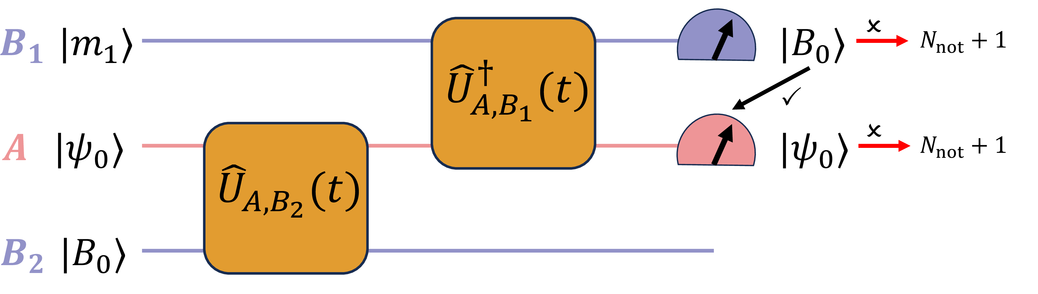Figure 3: Single-round protocol for measuring the second Rényi entropy via the basis-resolved ETP begins with the given initial state |m_1,\psi_0,B_0\rangle. We start with the initial state |m_1,\psi_0,B_0\rangle and let subsystems A and B_2 evolve forward in time for t. Then, we evolve subsystems A and B_1 backward in time for the same duration t. Finally, we perform a measurement on subsystems B_1 and A. This protocol is discussed in detail in subsection 3.2.1.